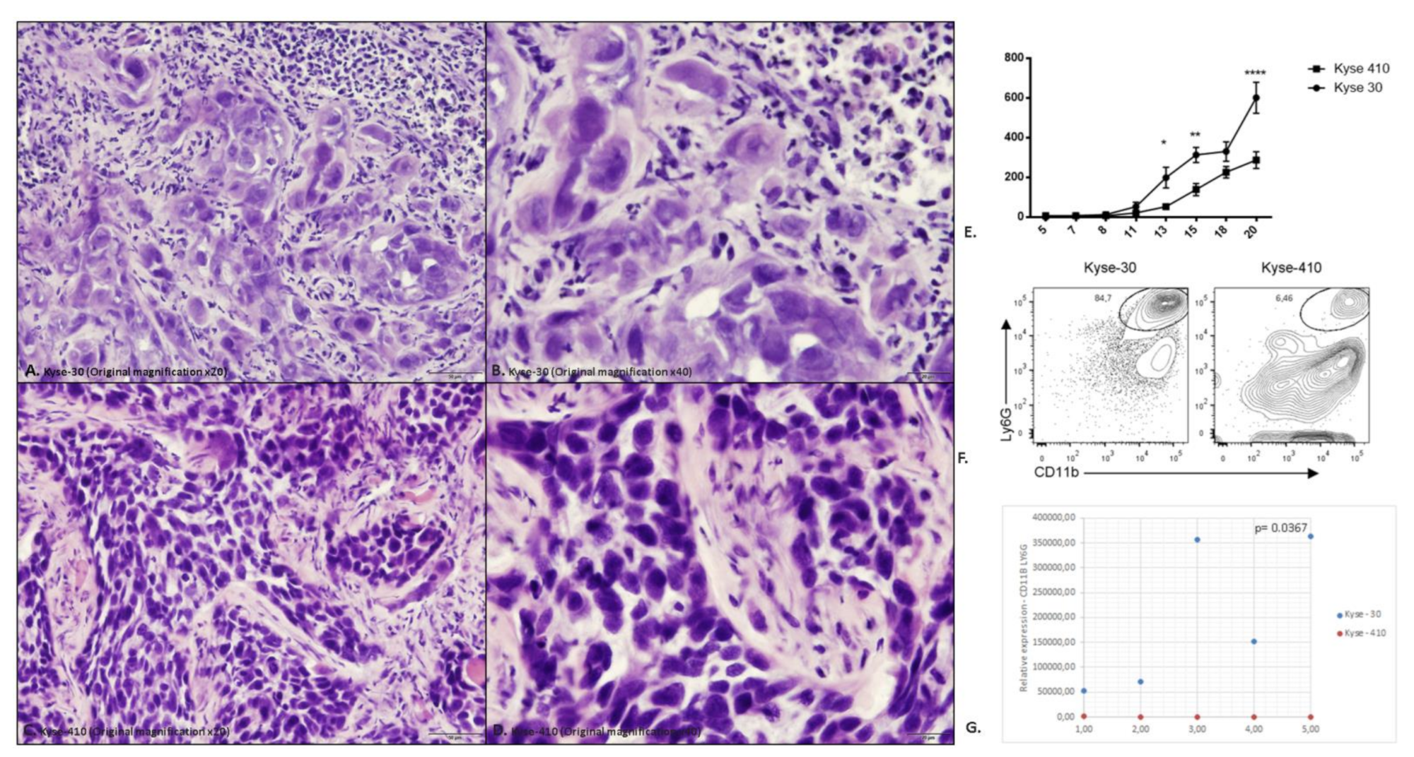 Cancers 15 01997 g002 Cancers 15 01997 g002