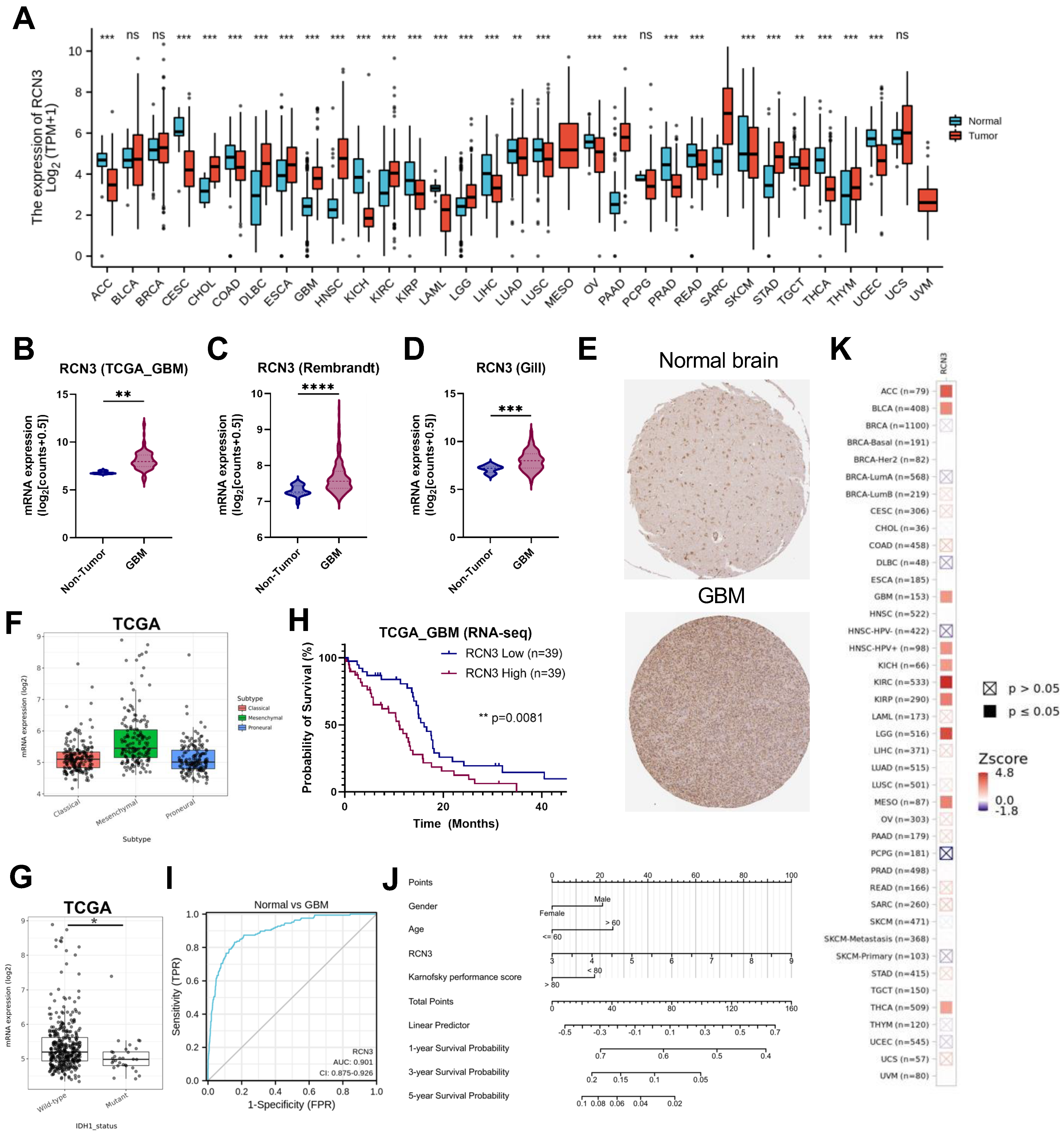 Cancers 15 02008 g001