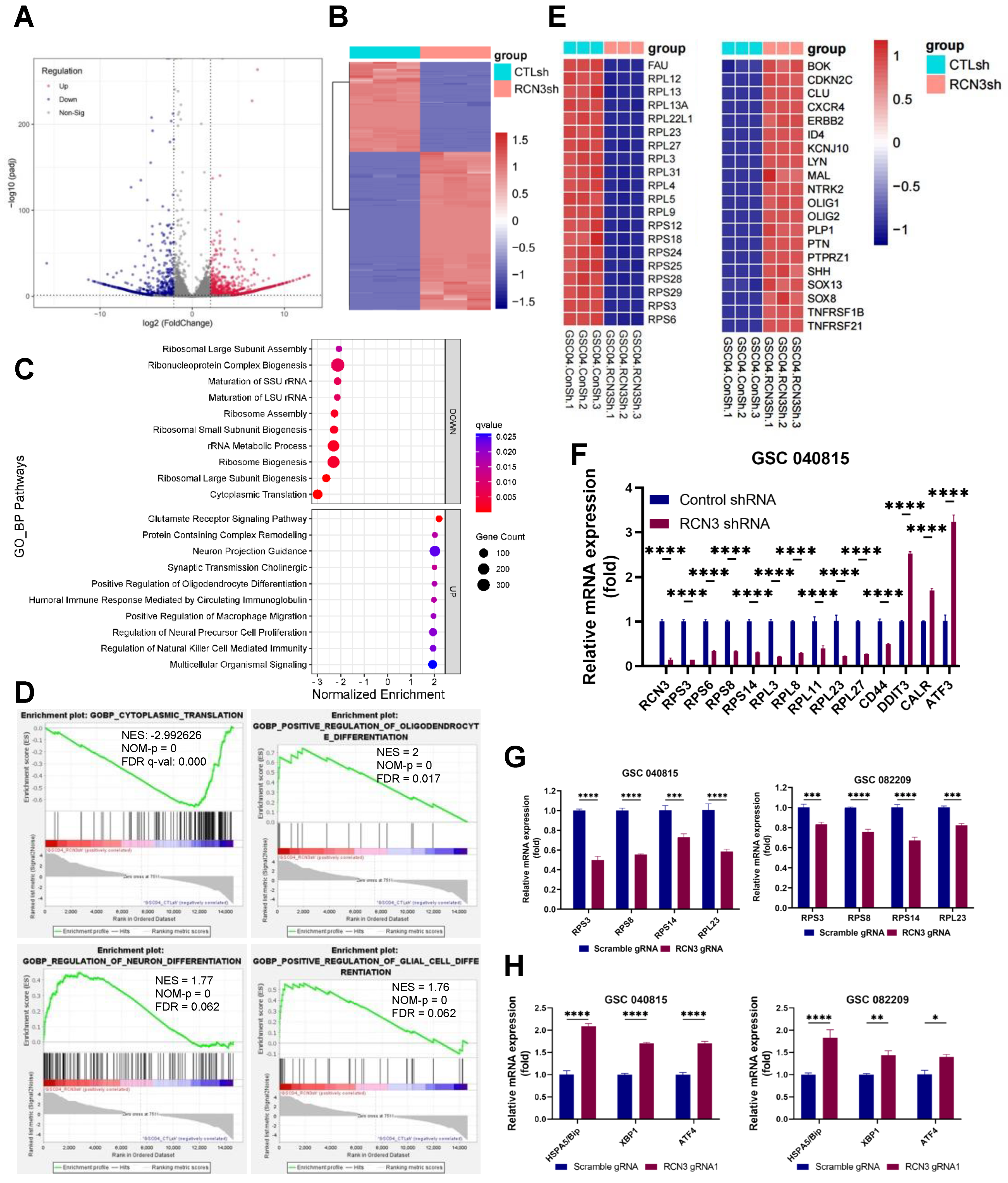 Cancers 15 02008 g003