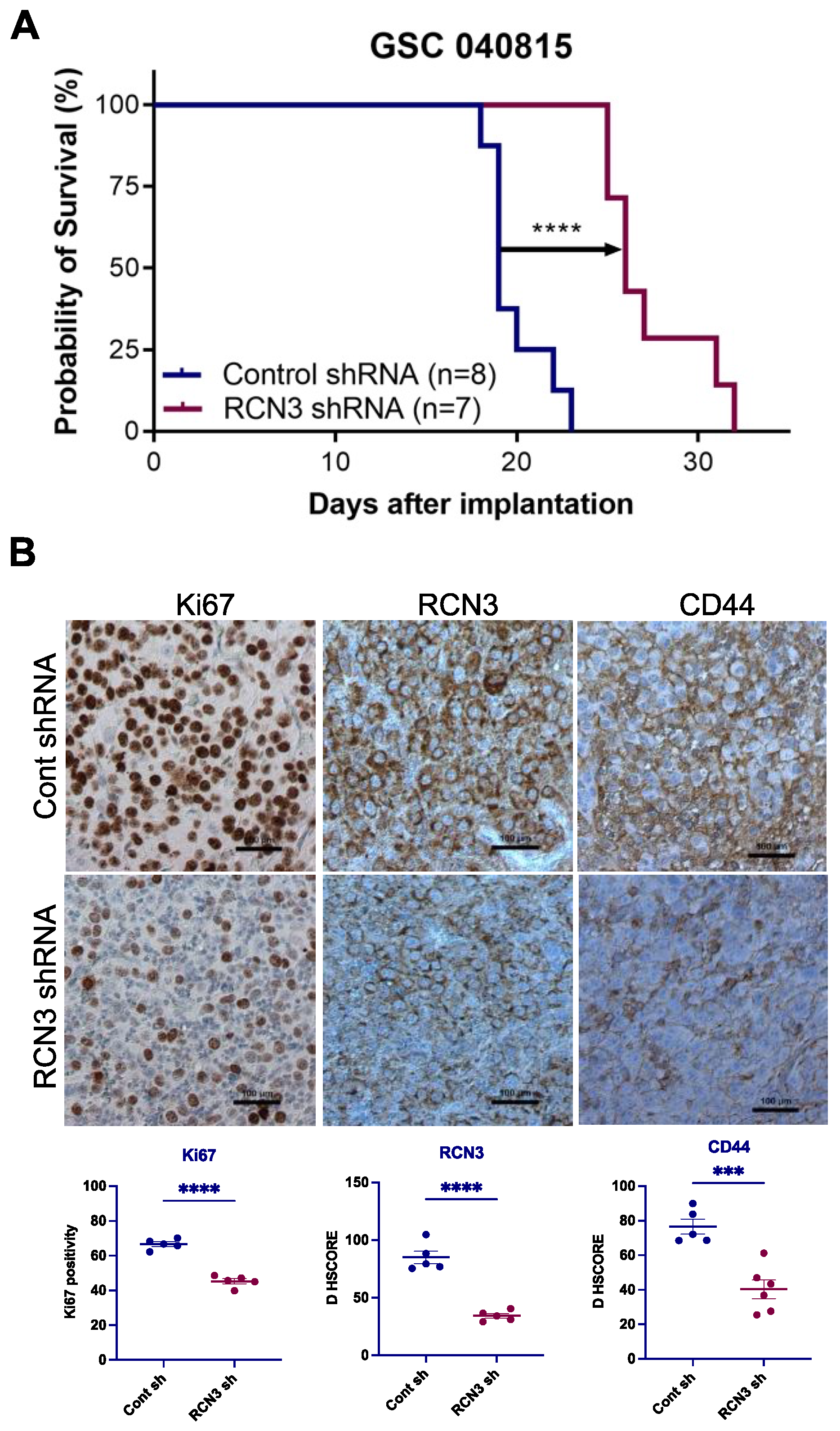 Cancers 15 02008 g005