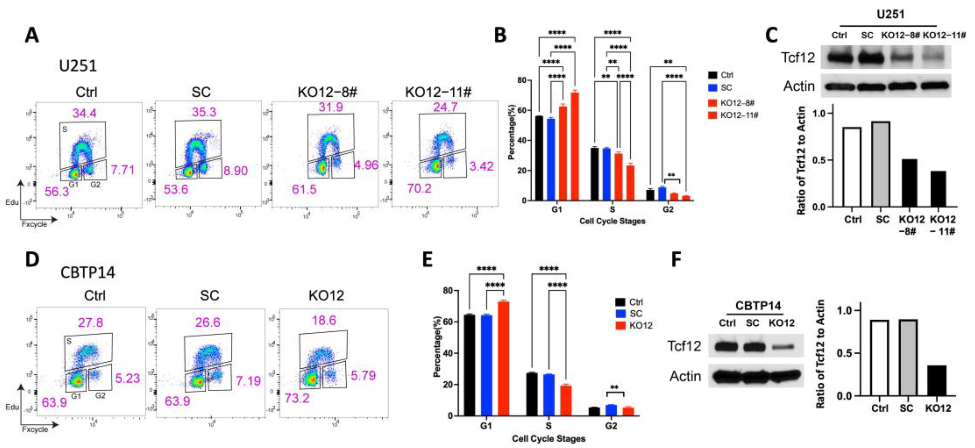 Cancers 15 02033 g003 Cancers 15 02033 g003