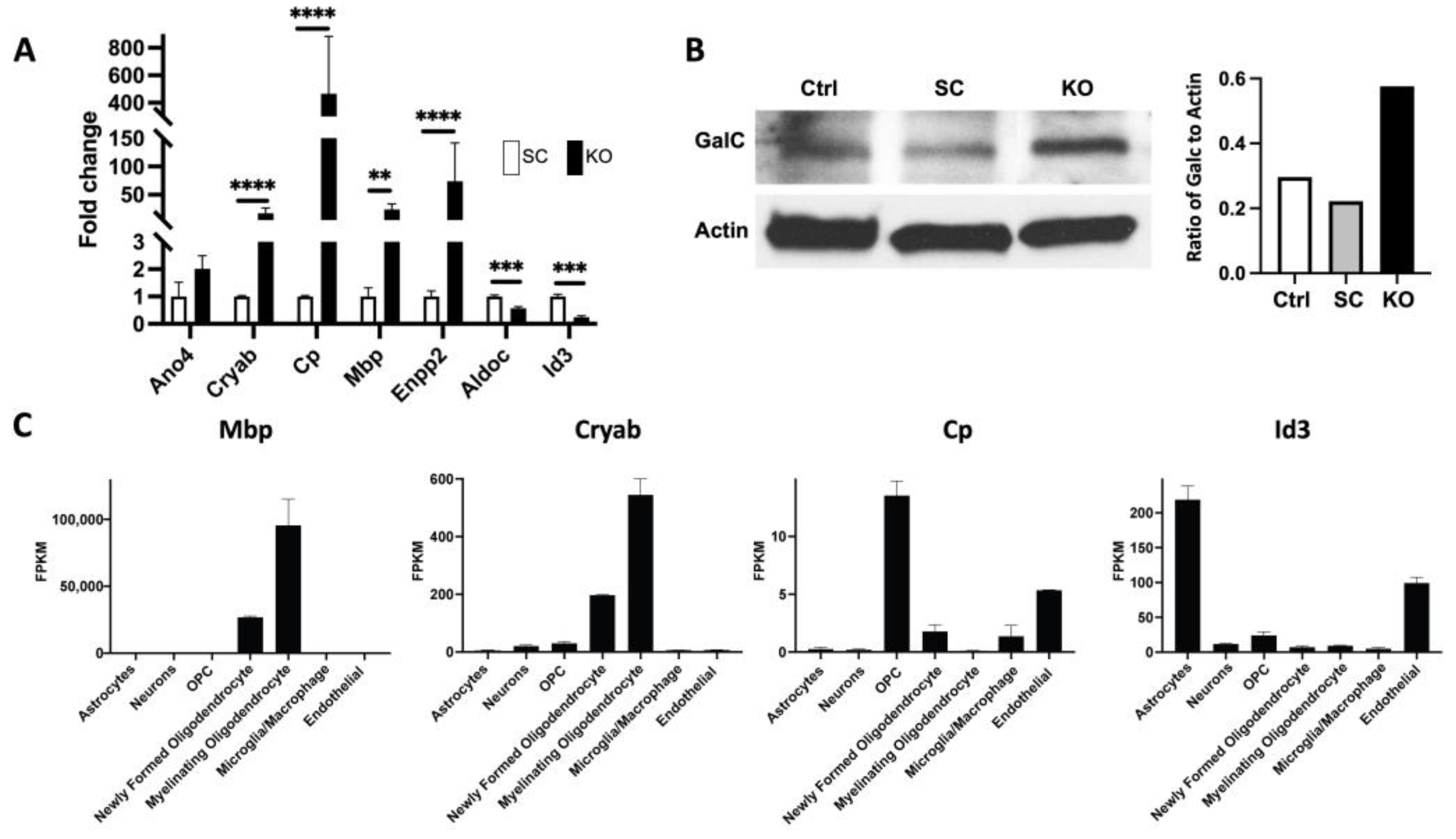 Cancers 15 02033 g004 Cancers 15 02033 g004