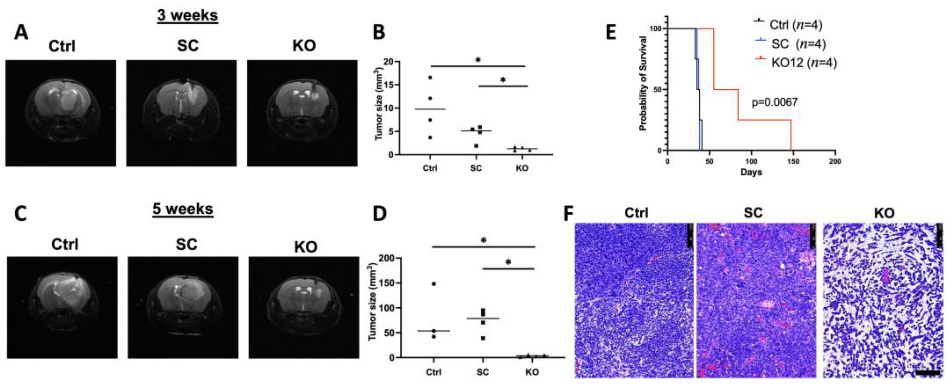 Cancers 15 02033 g005 Cancers 15 02033 g005