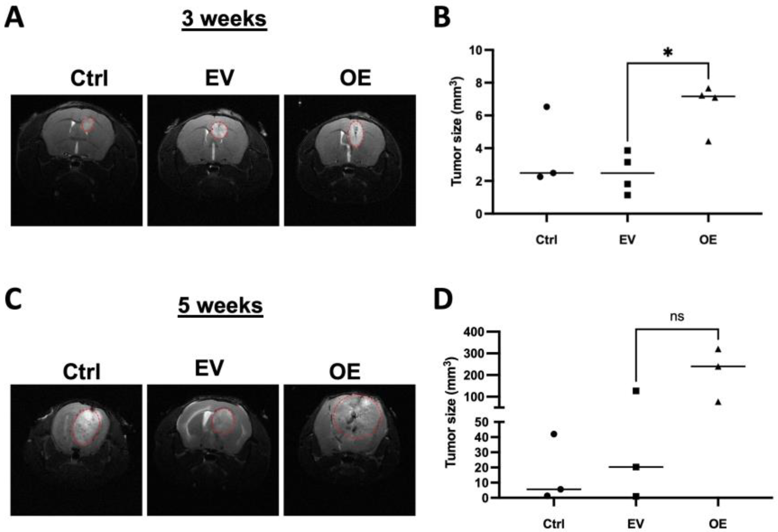 Cancers 15 02033 g006 Cancers 15 02033 g006