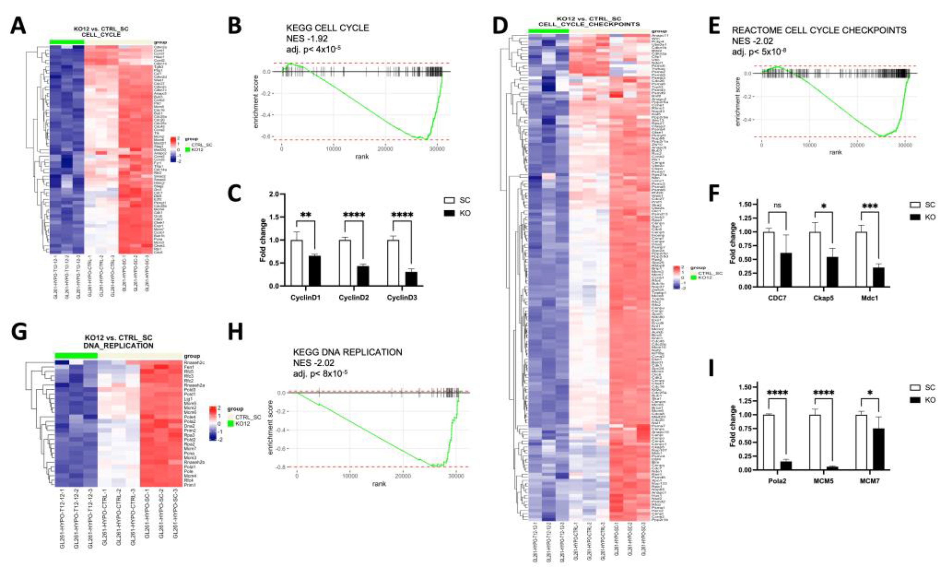 Cancers 15 02033 g007 Cancers 15 02033 g007