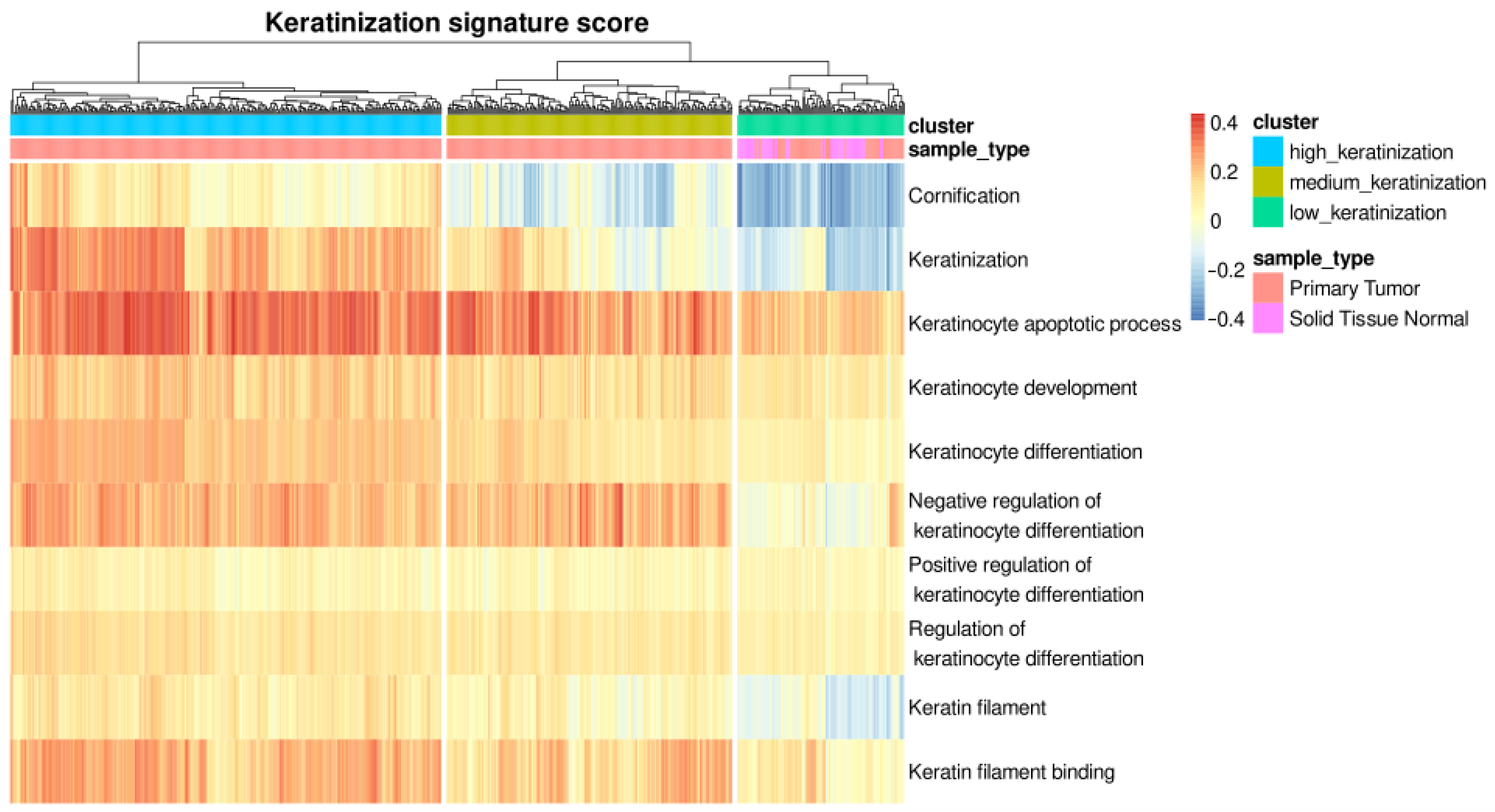 Cancers 15 02066 g002 Cancers 15 02066 g002