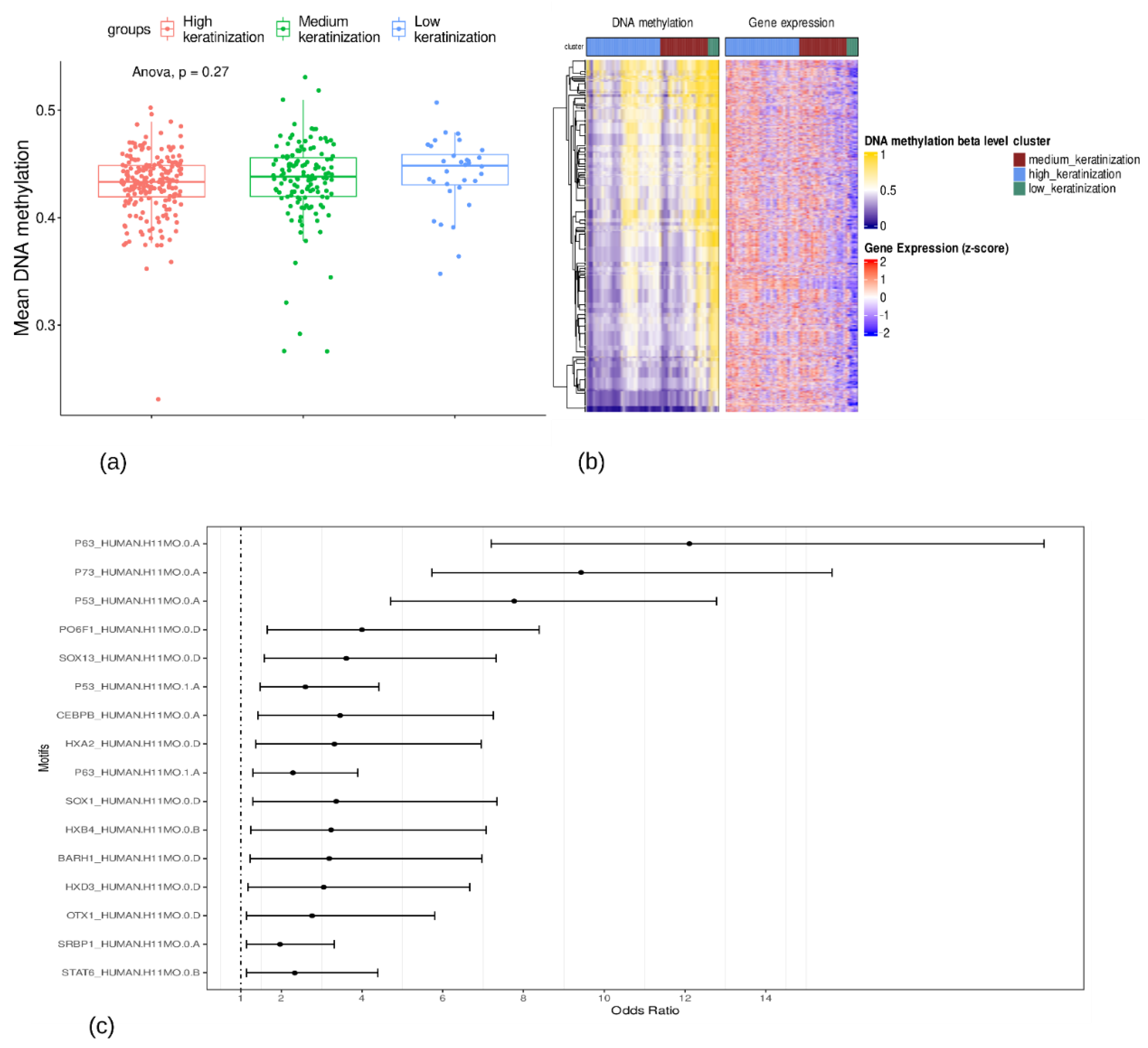 Cancers 15 02066 g004 Cancers 15 02066 g004