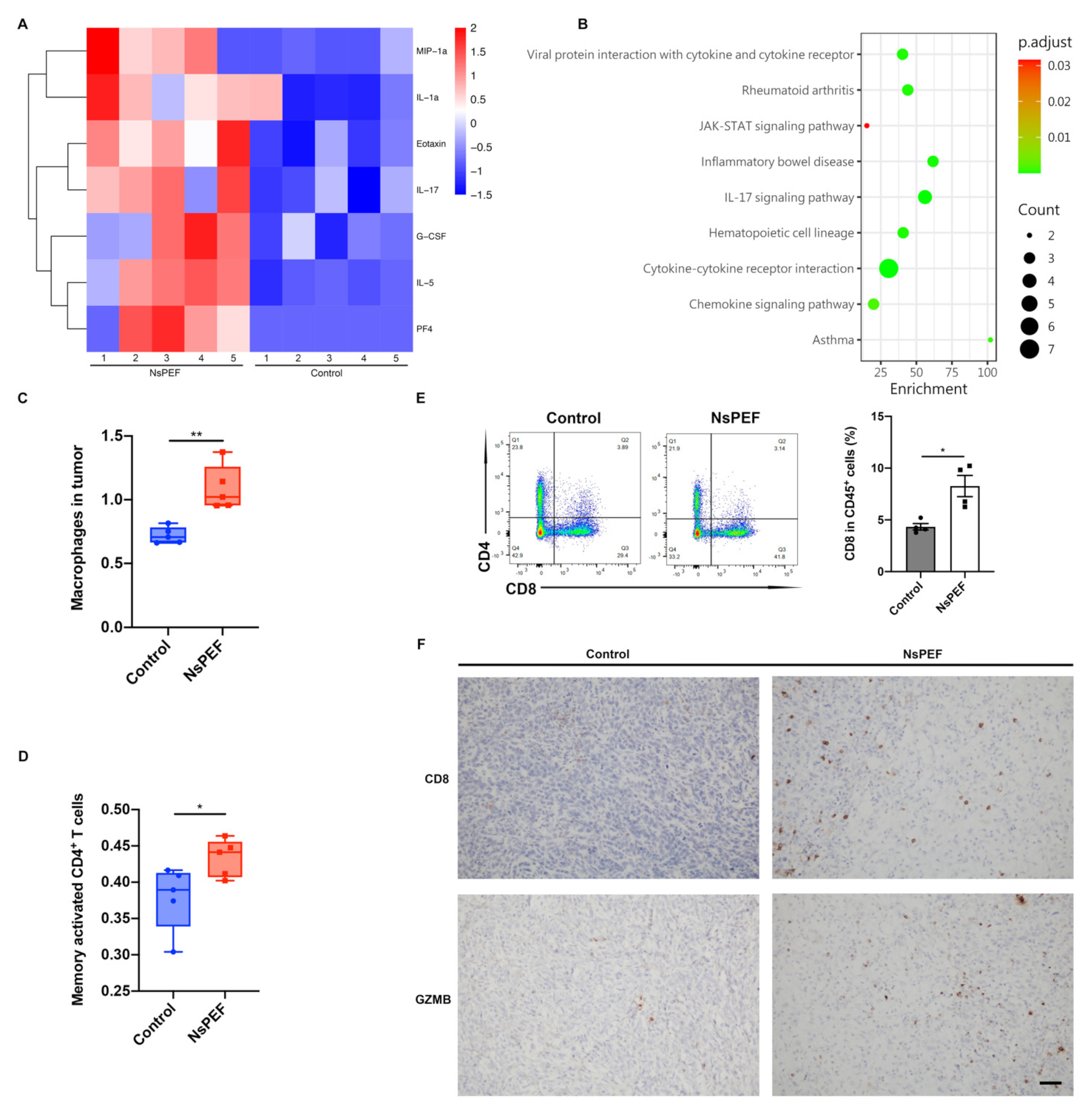 Cancers 15 02076 g005
