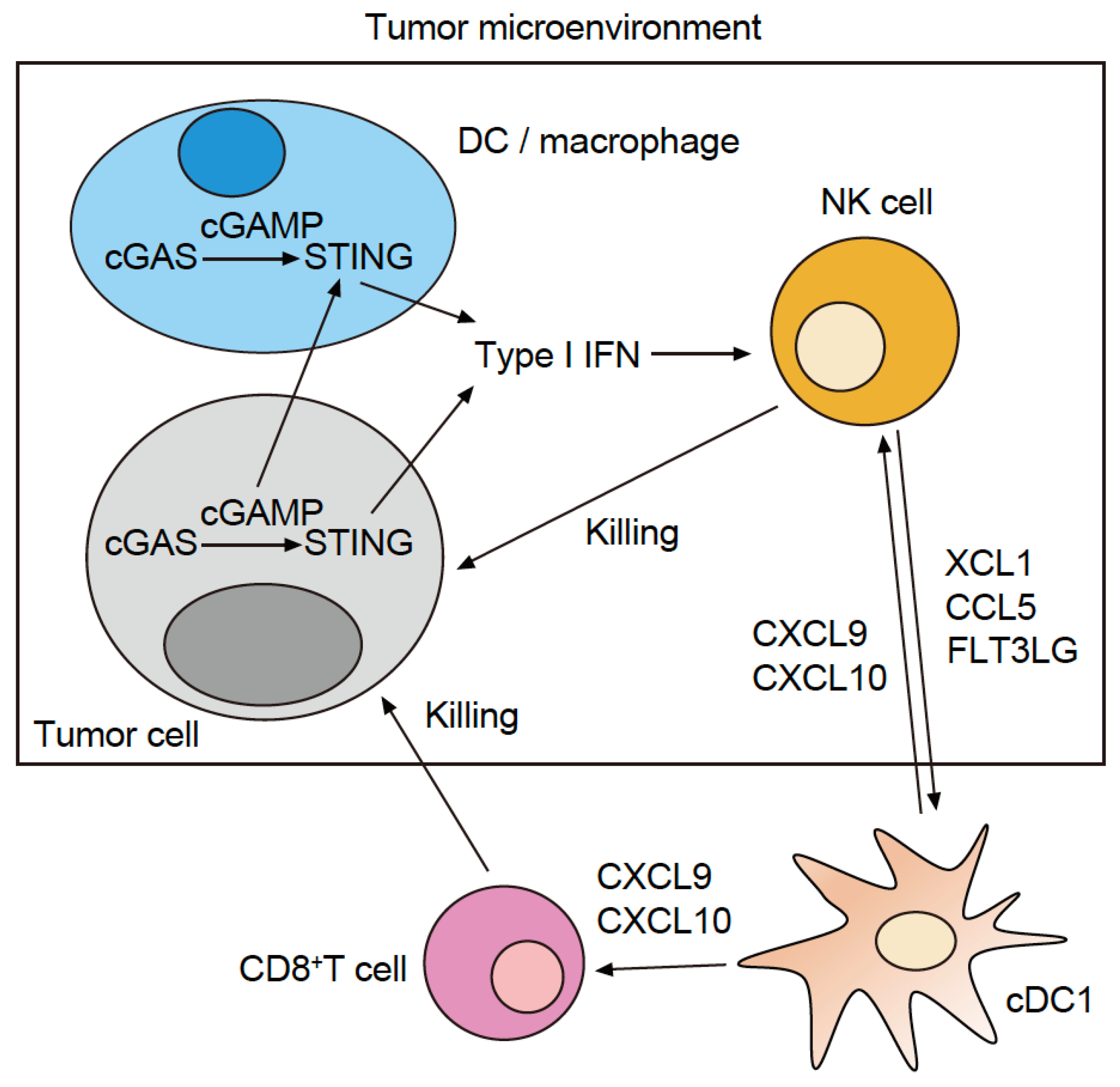 Cancers 15 02114 g002 Cancers 15 02114 g002