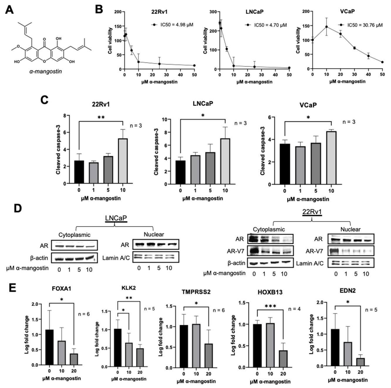 Cancers 15 02118 g001