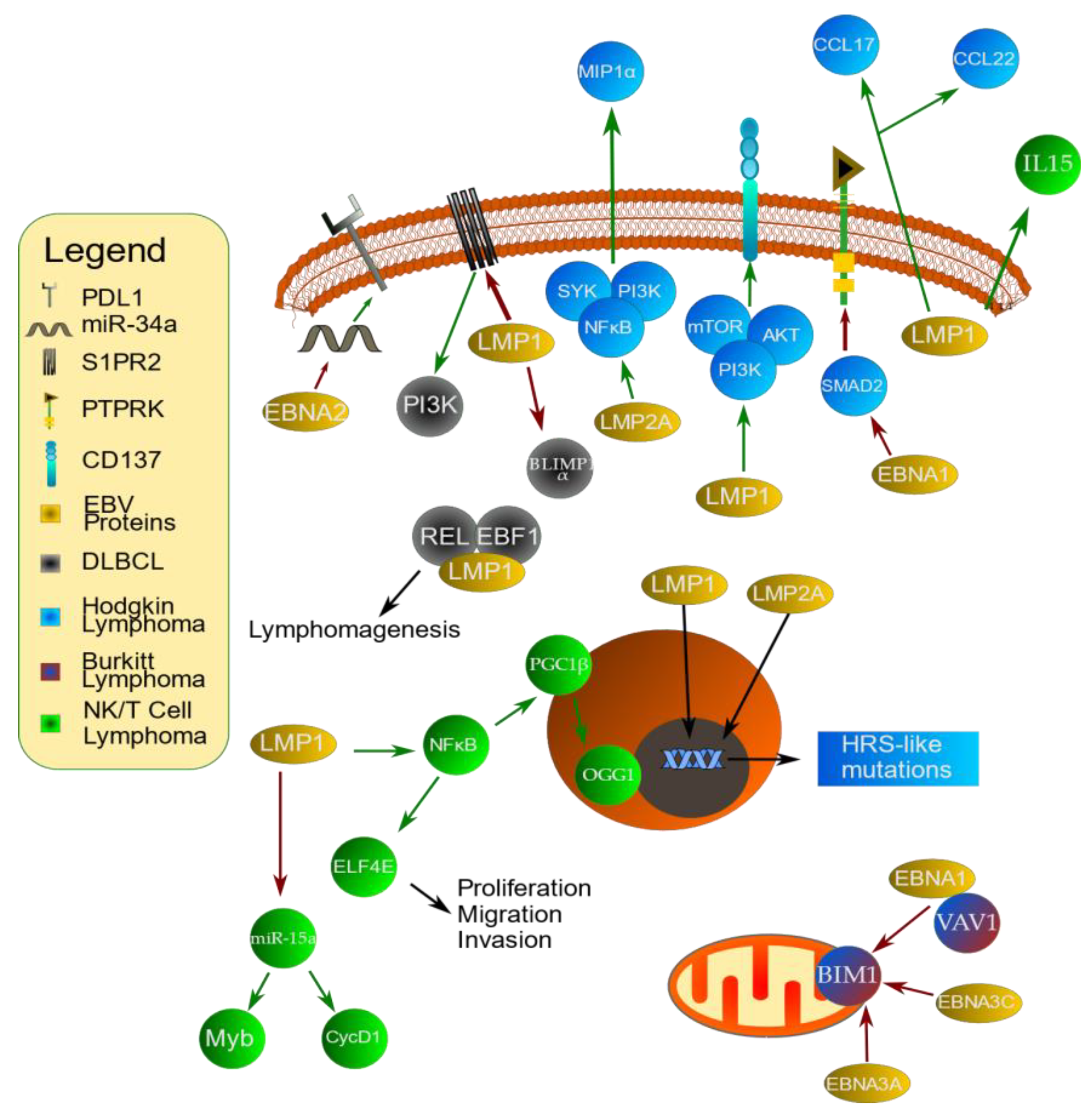 Cancers 15 02133 g002