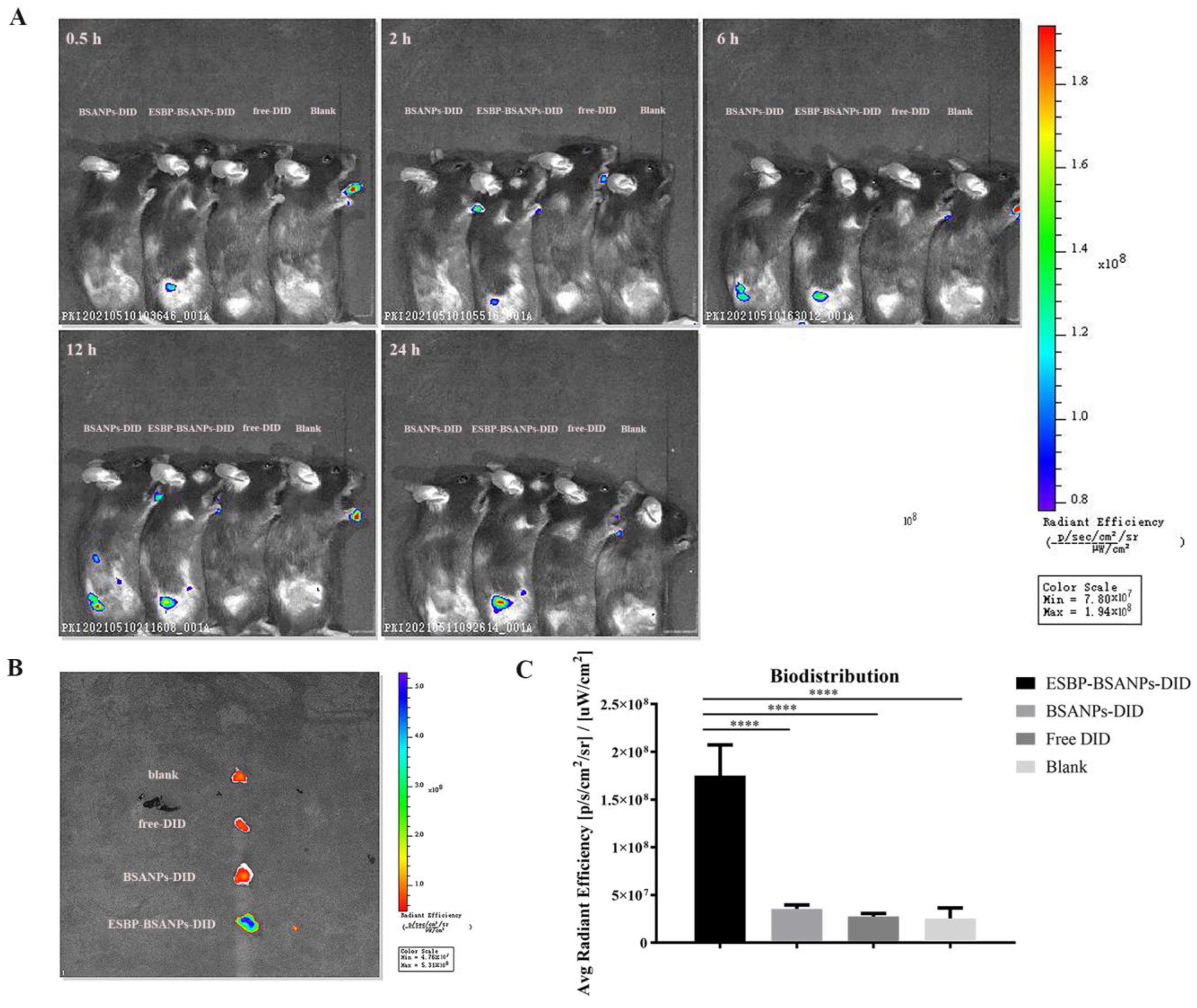 Cancers 15 02136 g004 Cancers 15 02136 g004