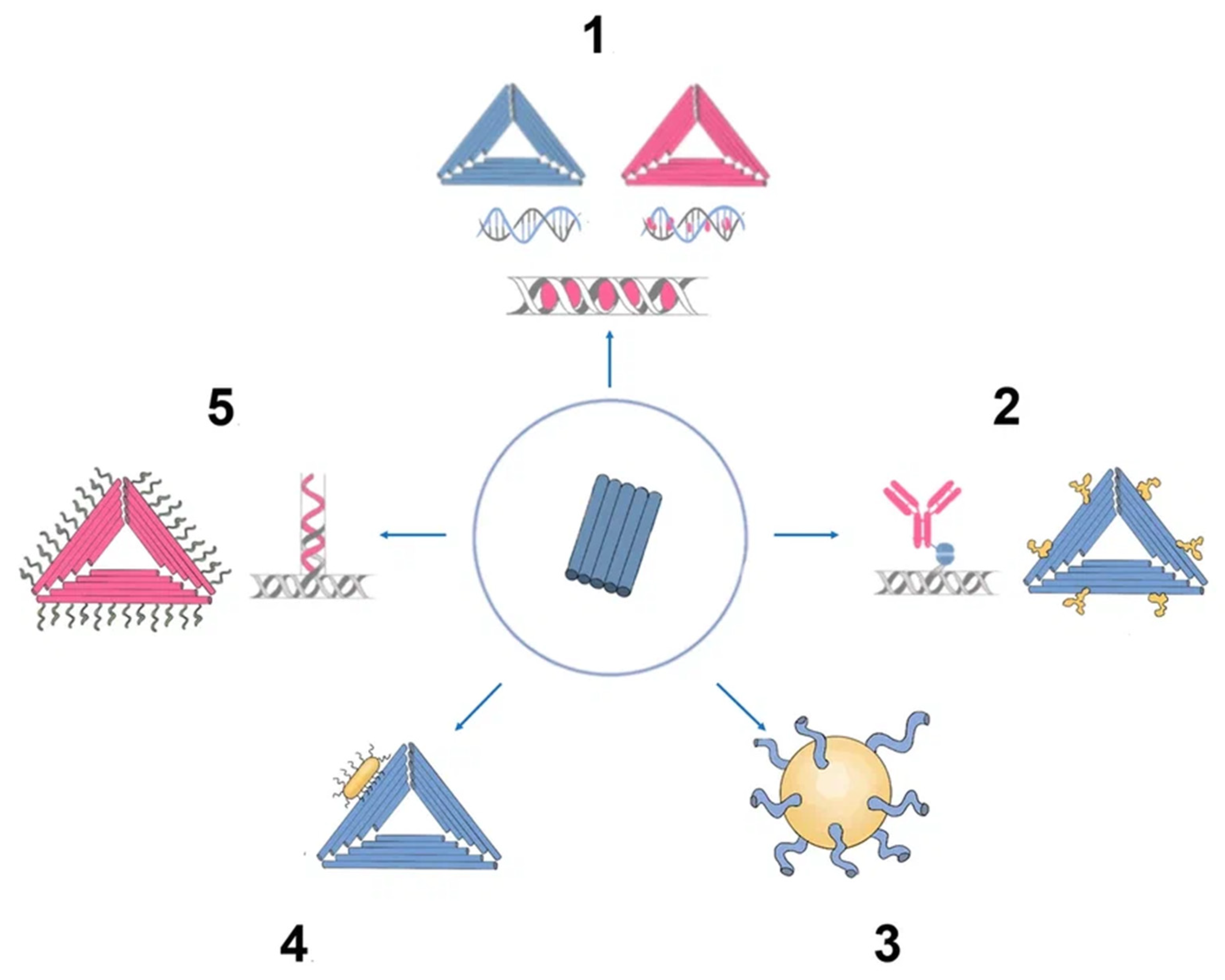 Cancers 15 02151 g003