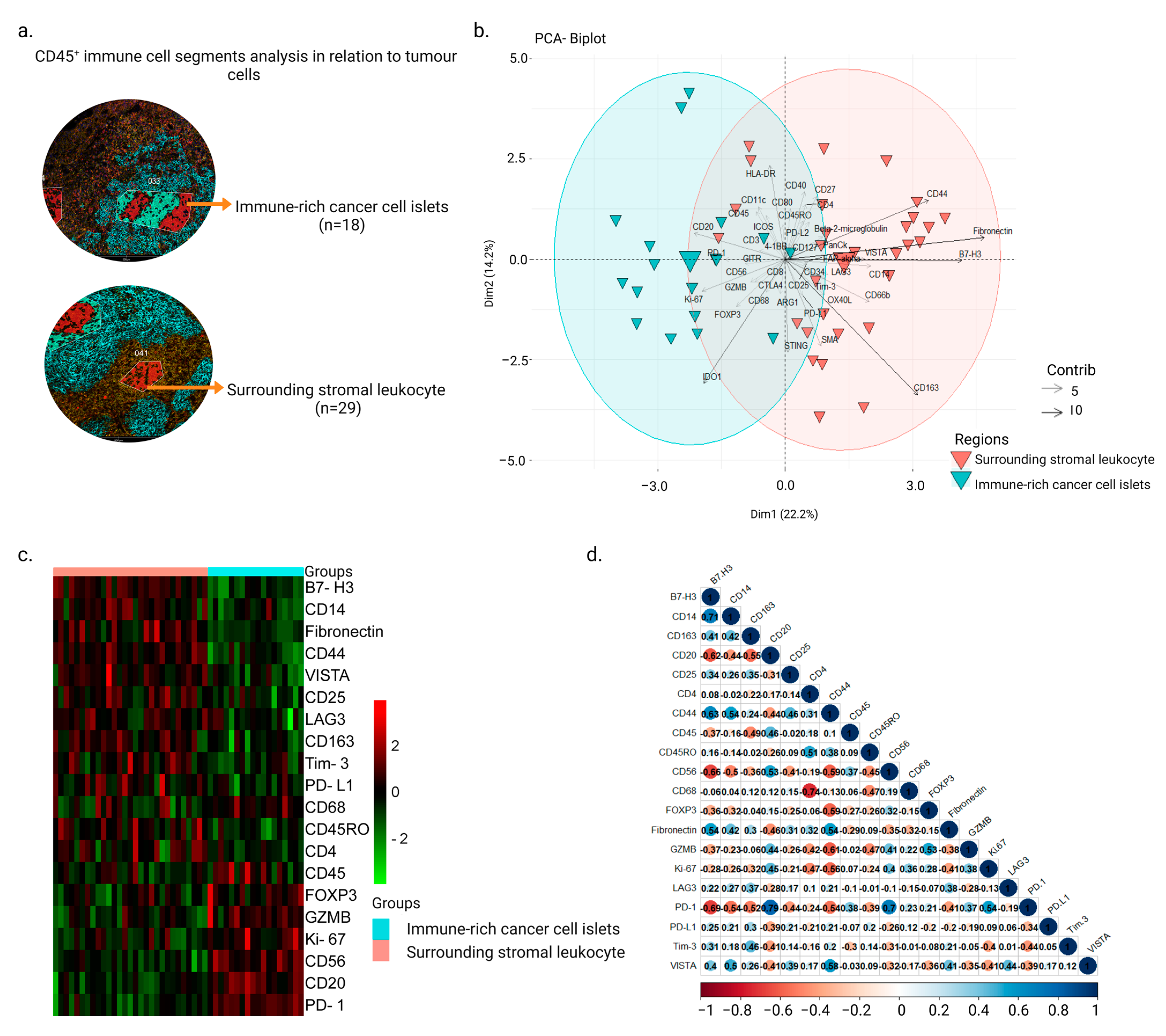 Cancers 15 02165 g001