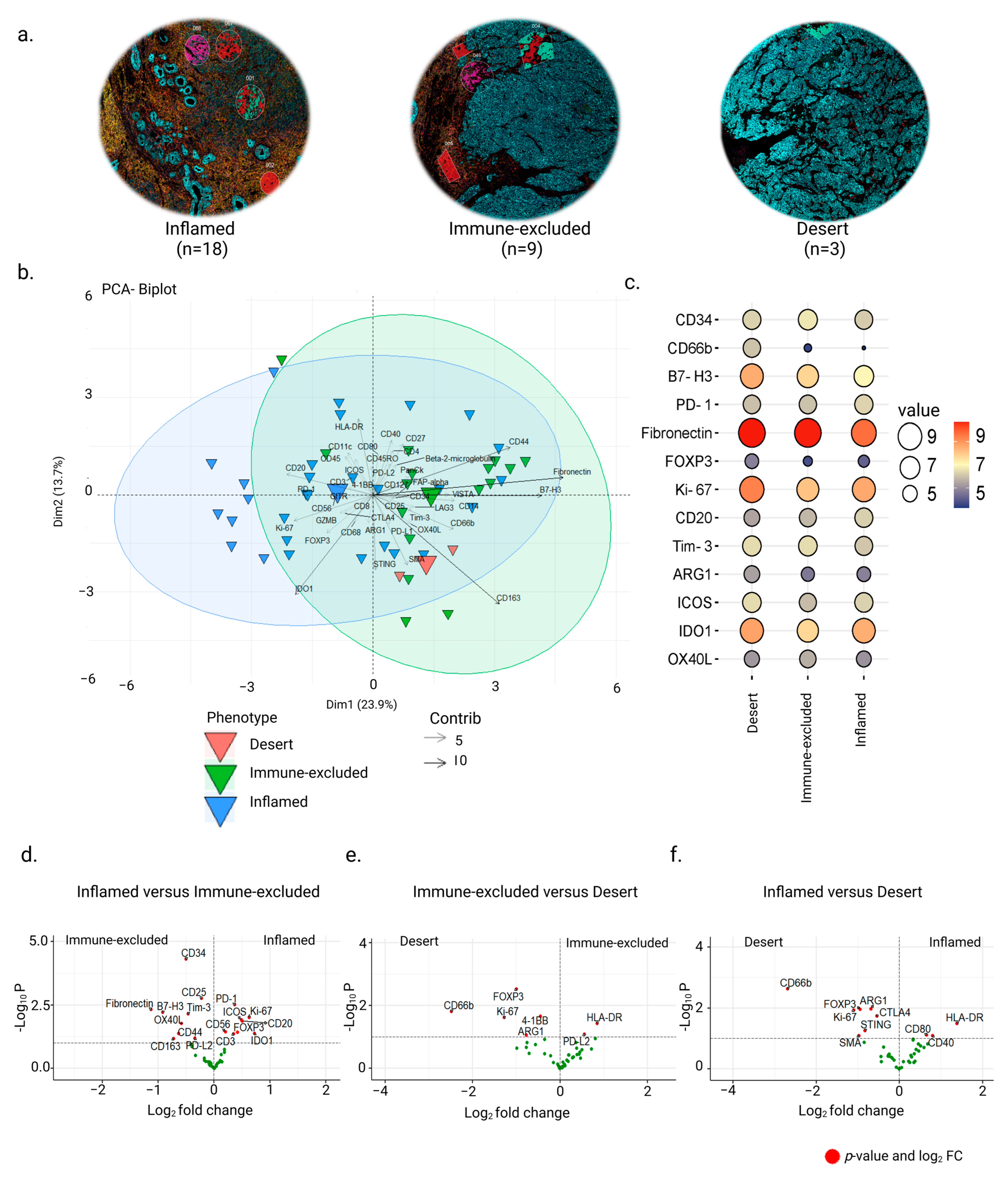 Cancers 15 02165 g002