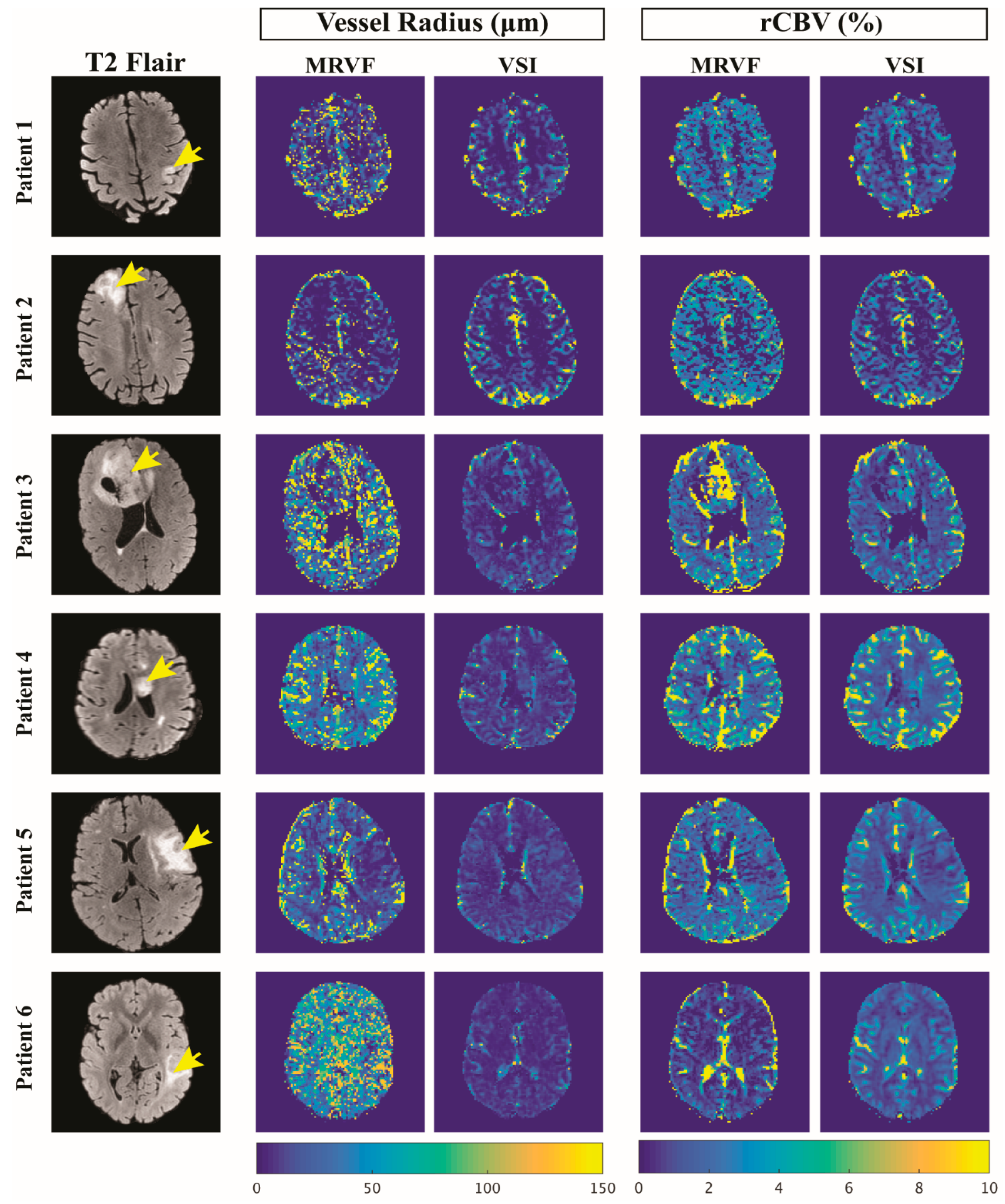 Cancers 15 02180 g004 Cancers 15 02180 g004