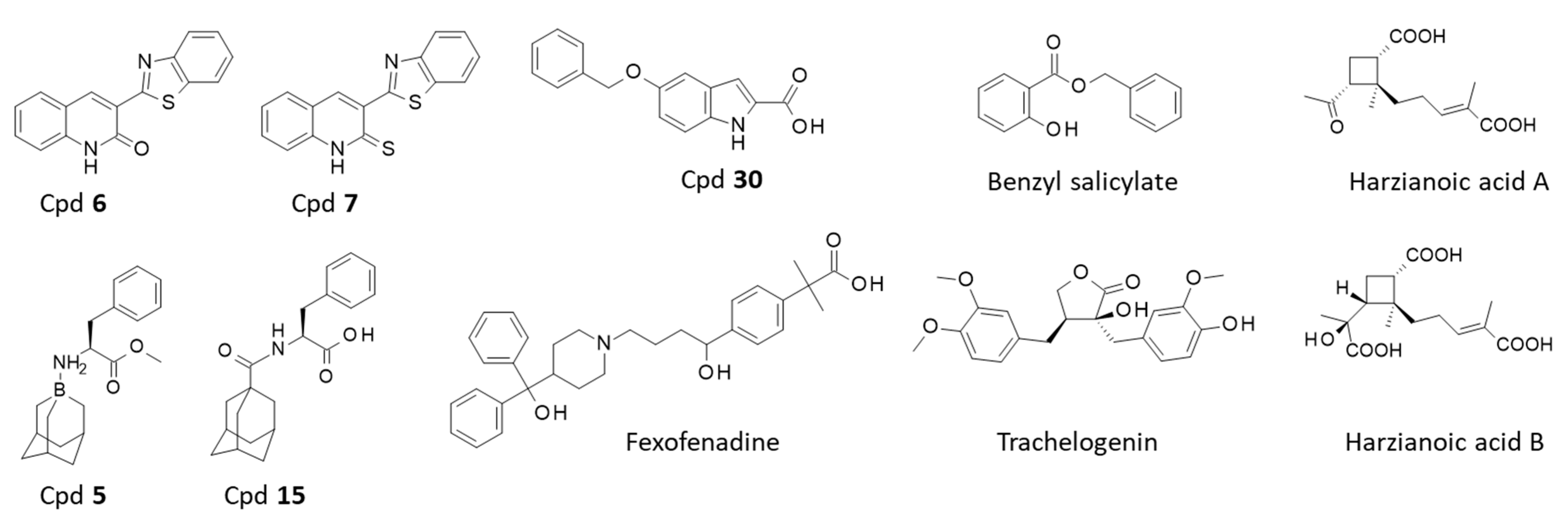 Cancers 15 02186 g005 Cancers 15 02186 g005