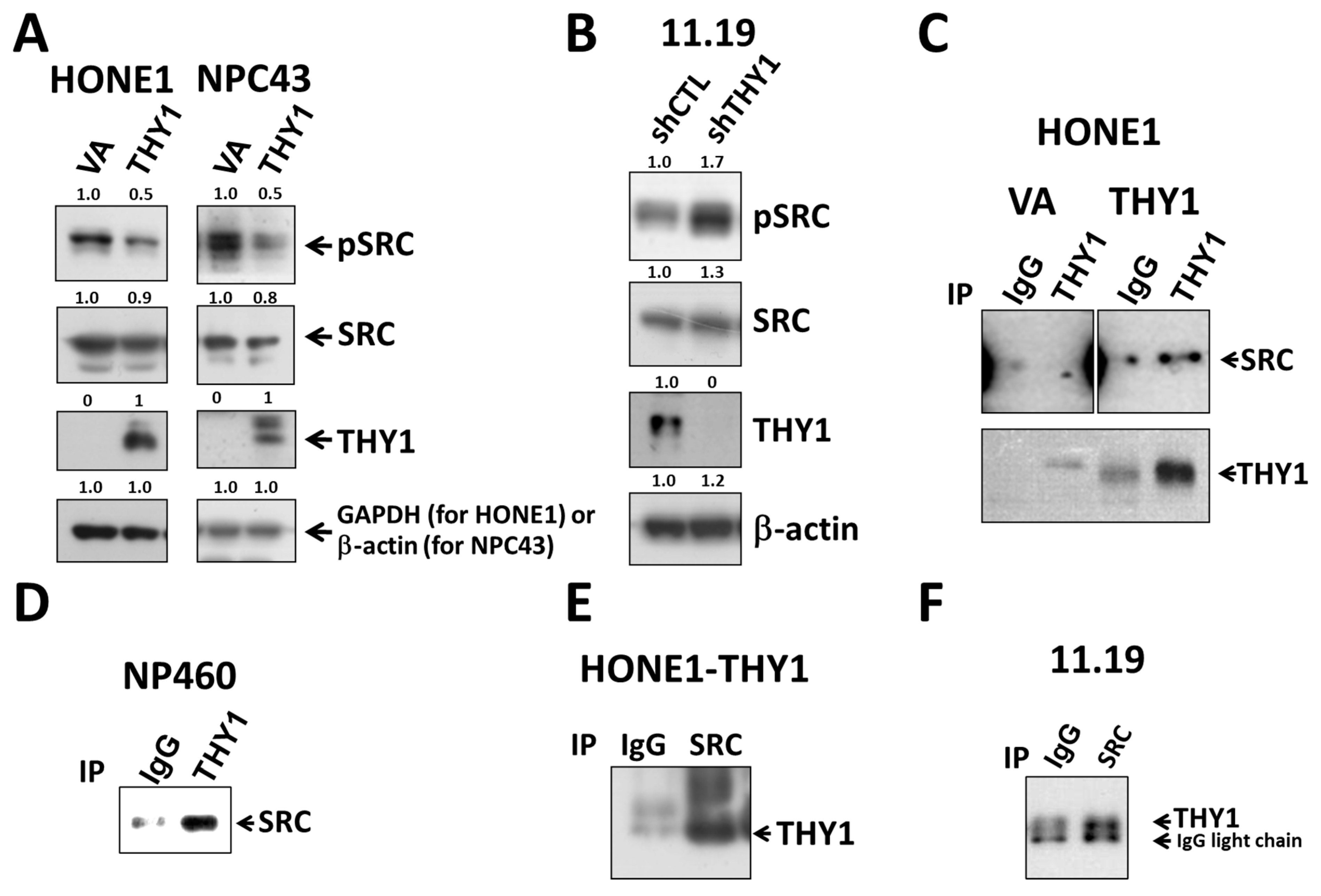 Cancers 15 02189 g003 Cancers 15 02189 g003