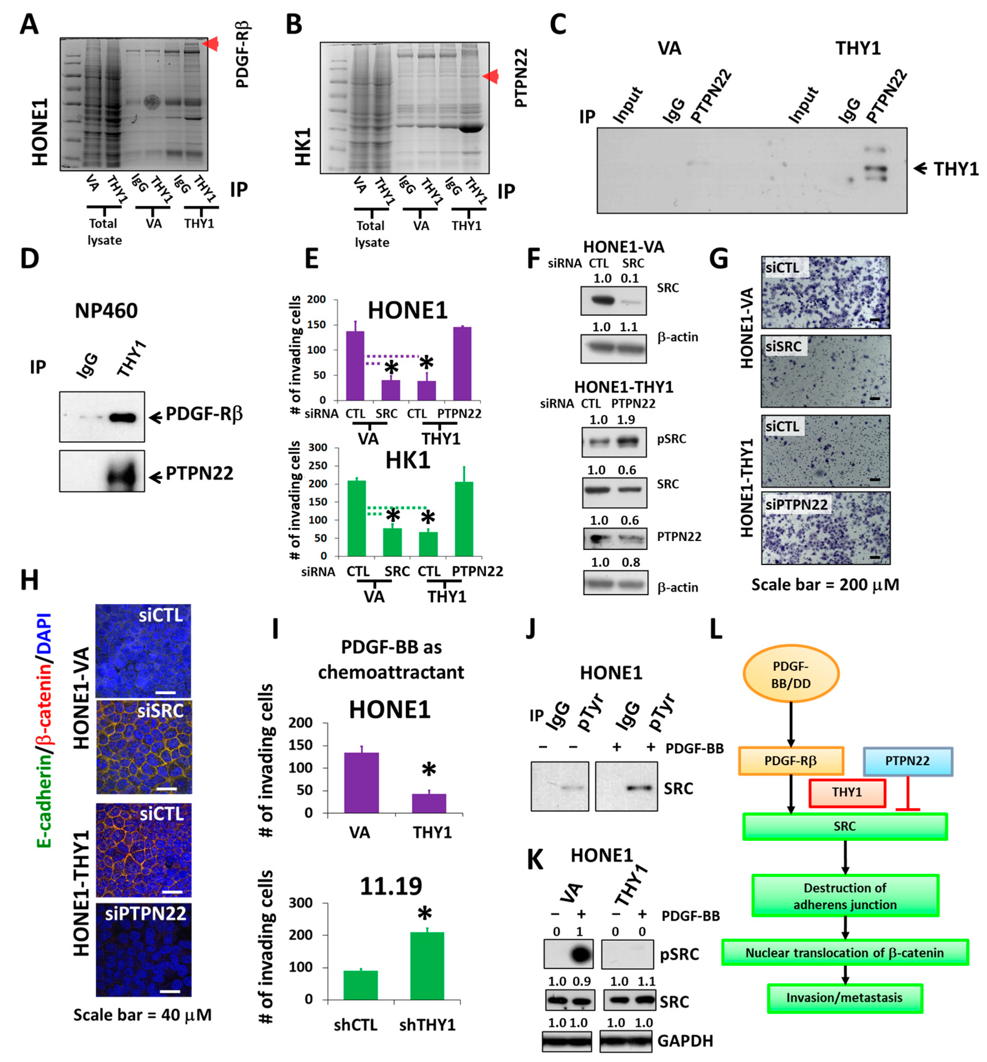 Cancers 15 02189 g004 Cancers 15 02189 g004
