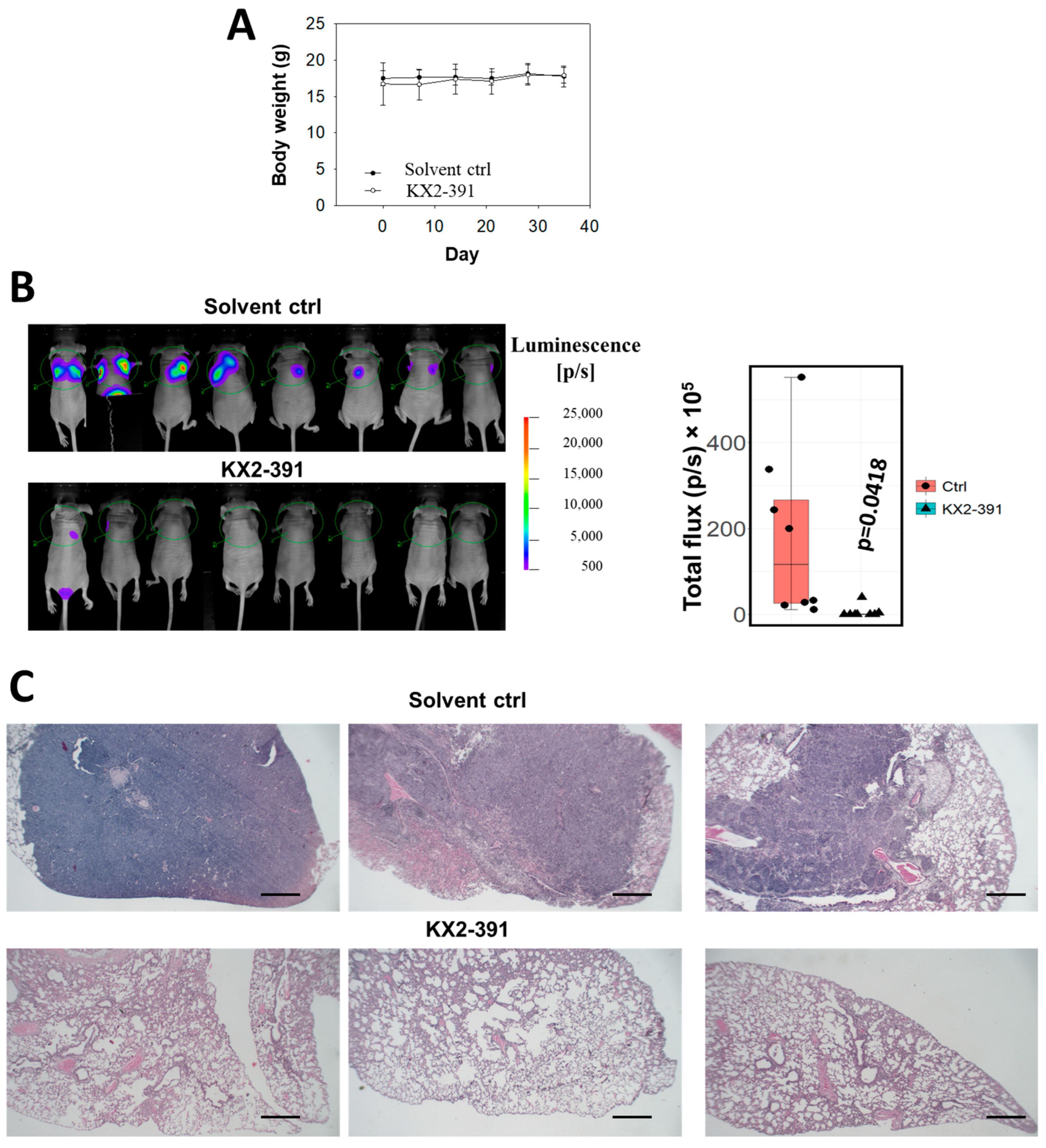 Cancers 15 02189 g006 Cancers 15 02189 g006