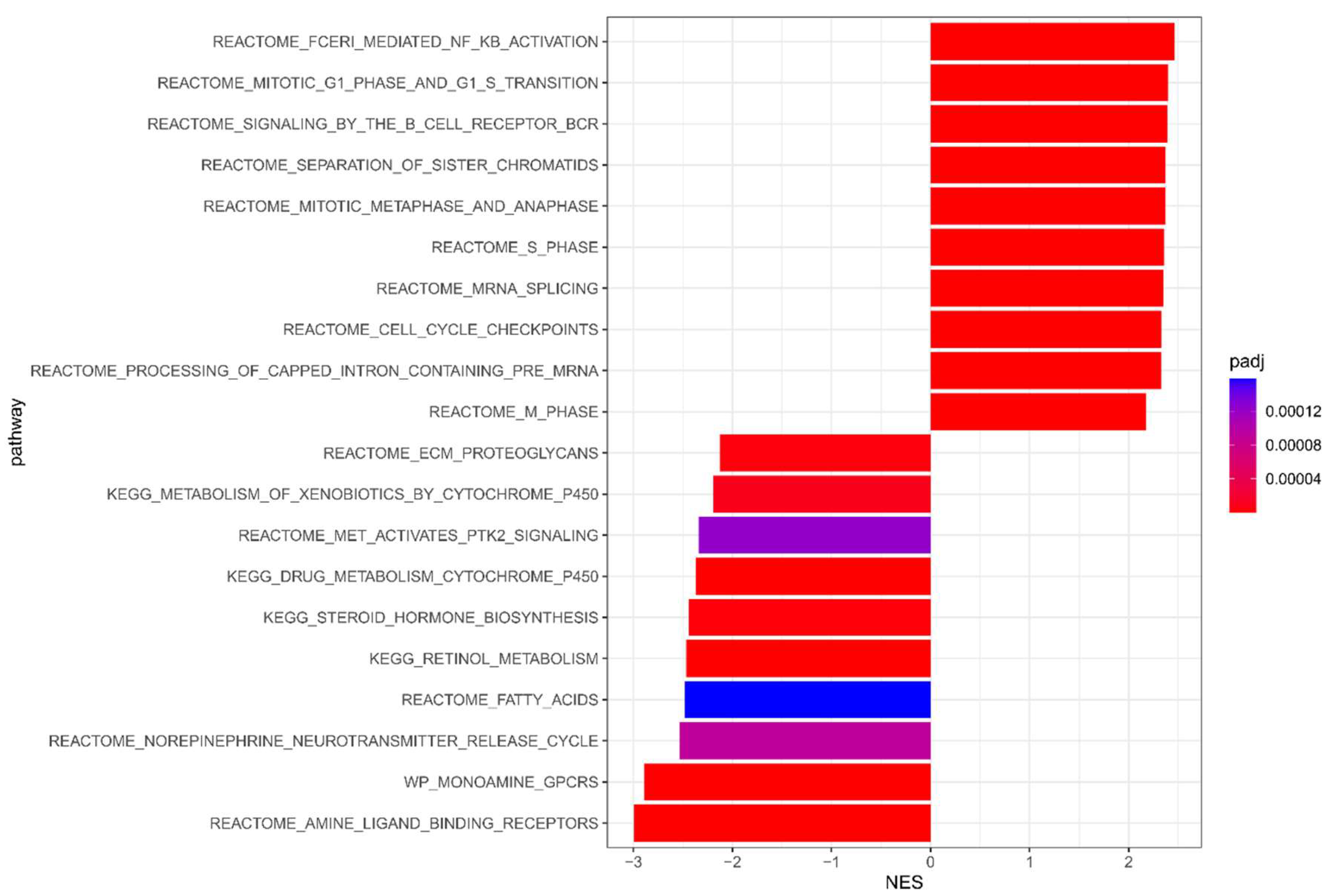 Cancers 15 02194 g002 Cancers 15 02194 g002