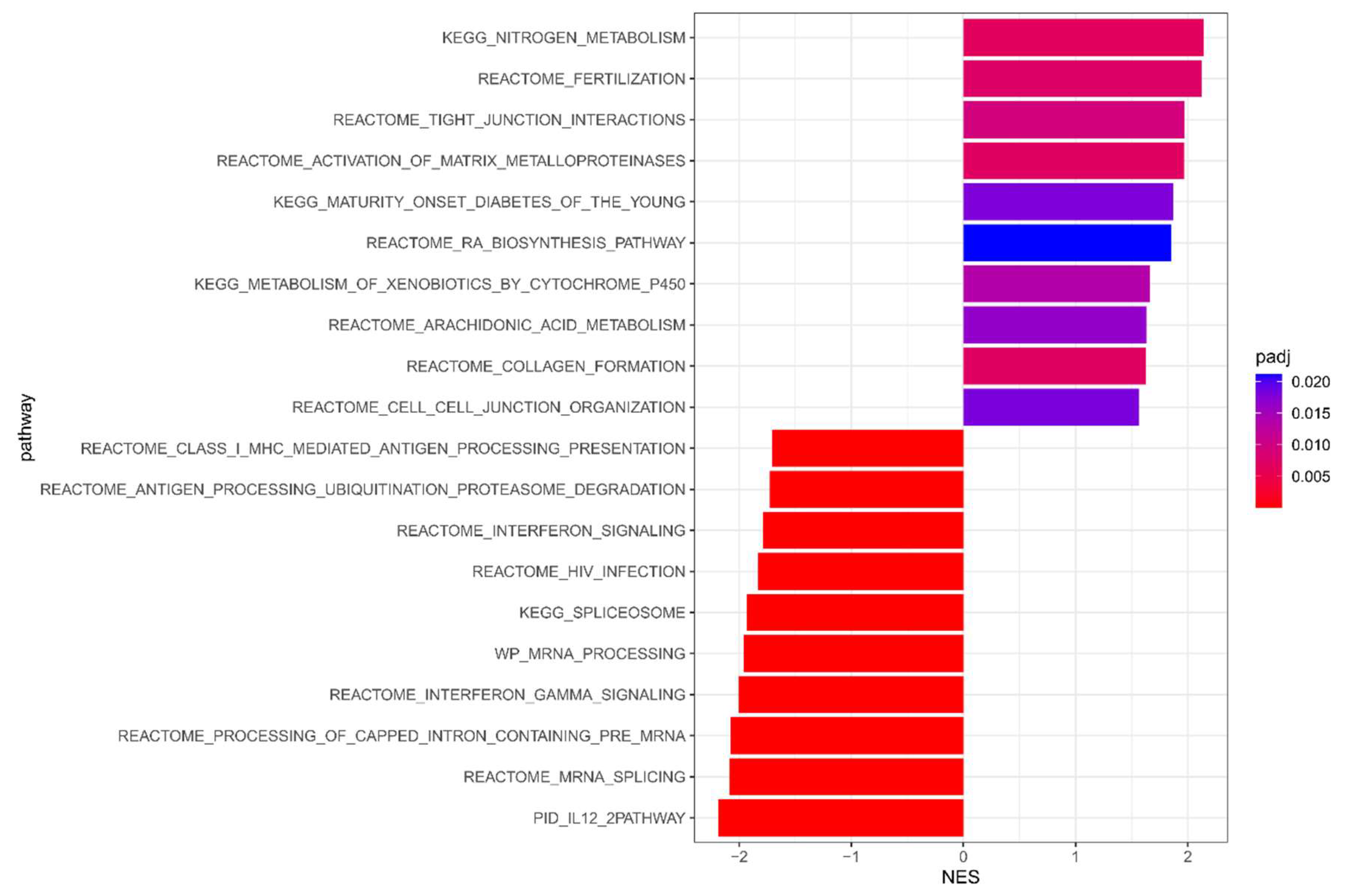 Cancers 15 02194 g003 Cancers 15 02194 g003