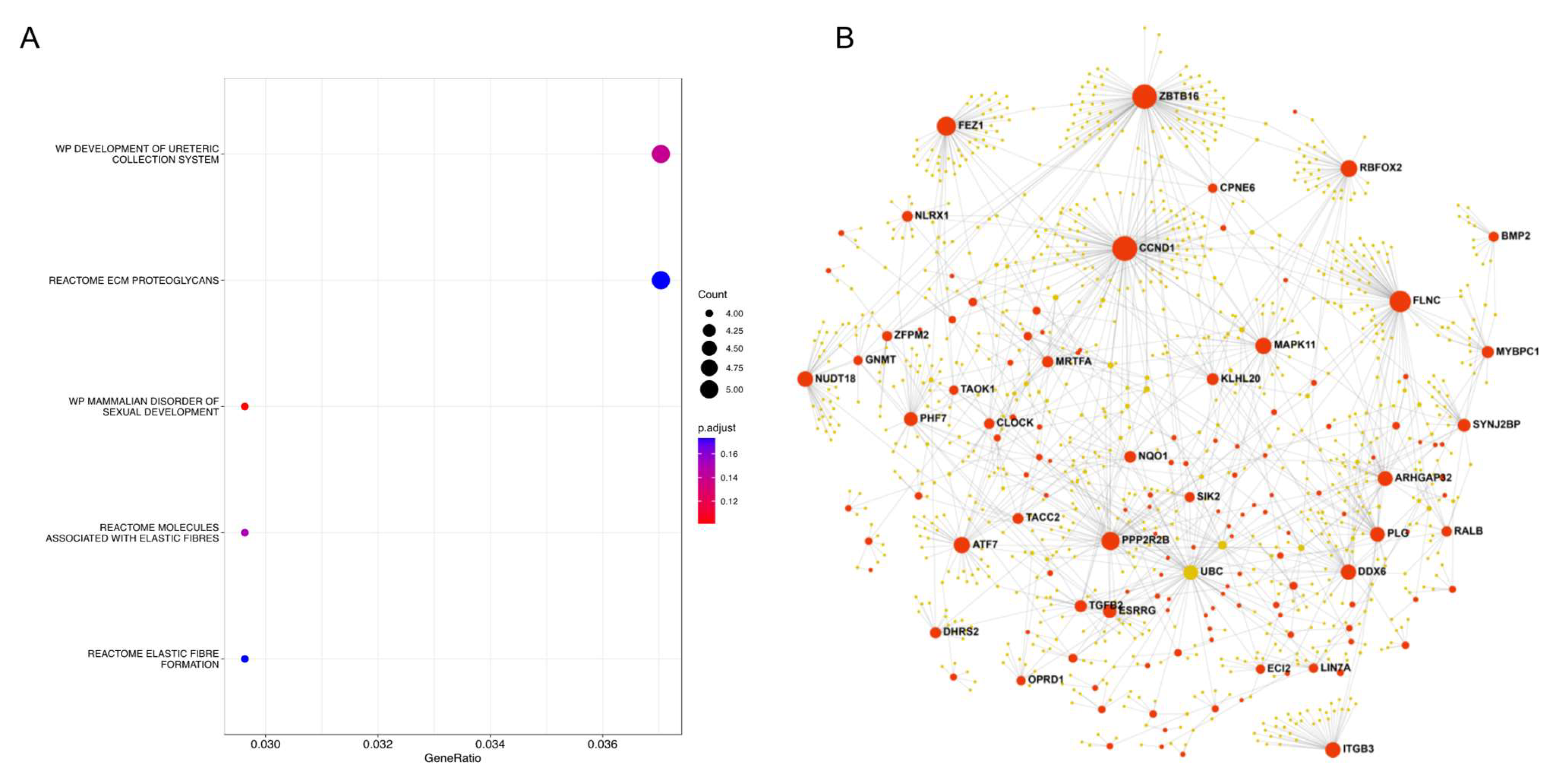 Cancers 15 02194 g006 Cancers 15 02194 g006