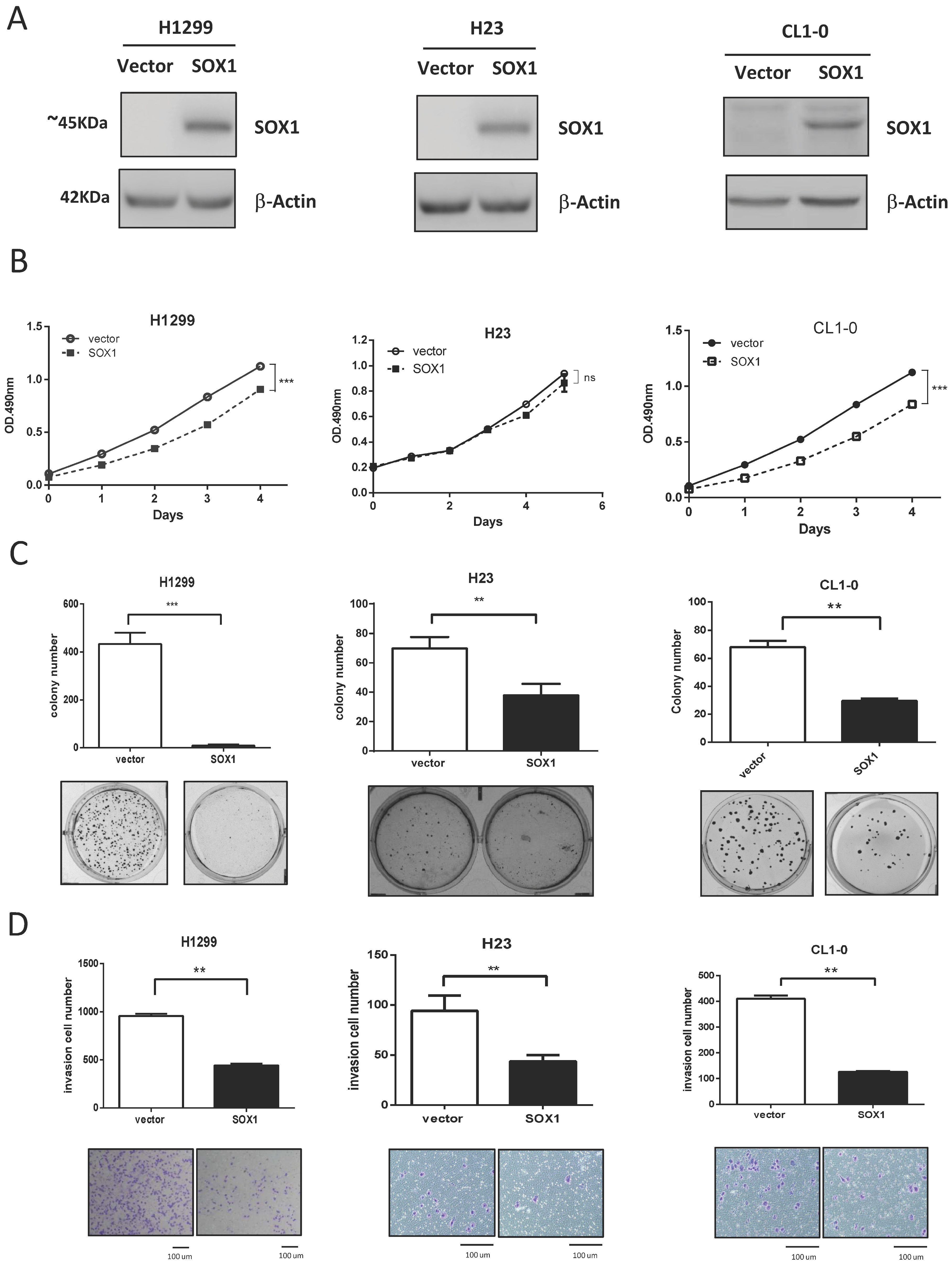 Cancers 15 02207 g002