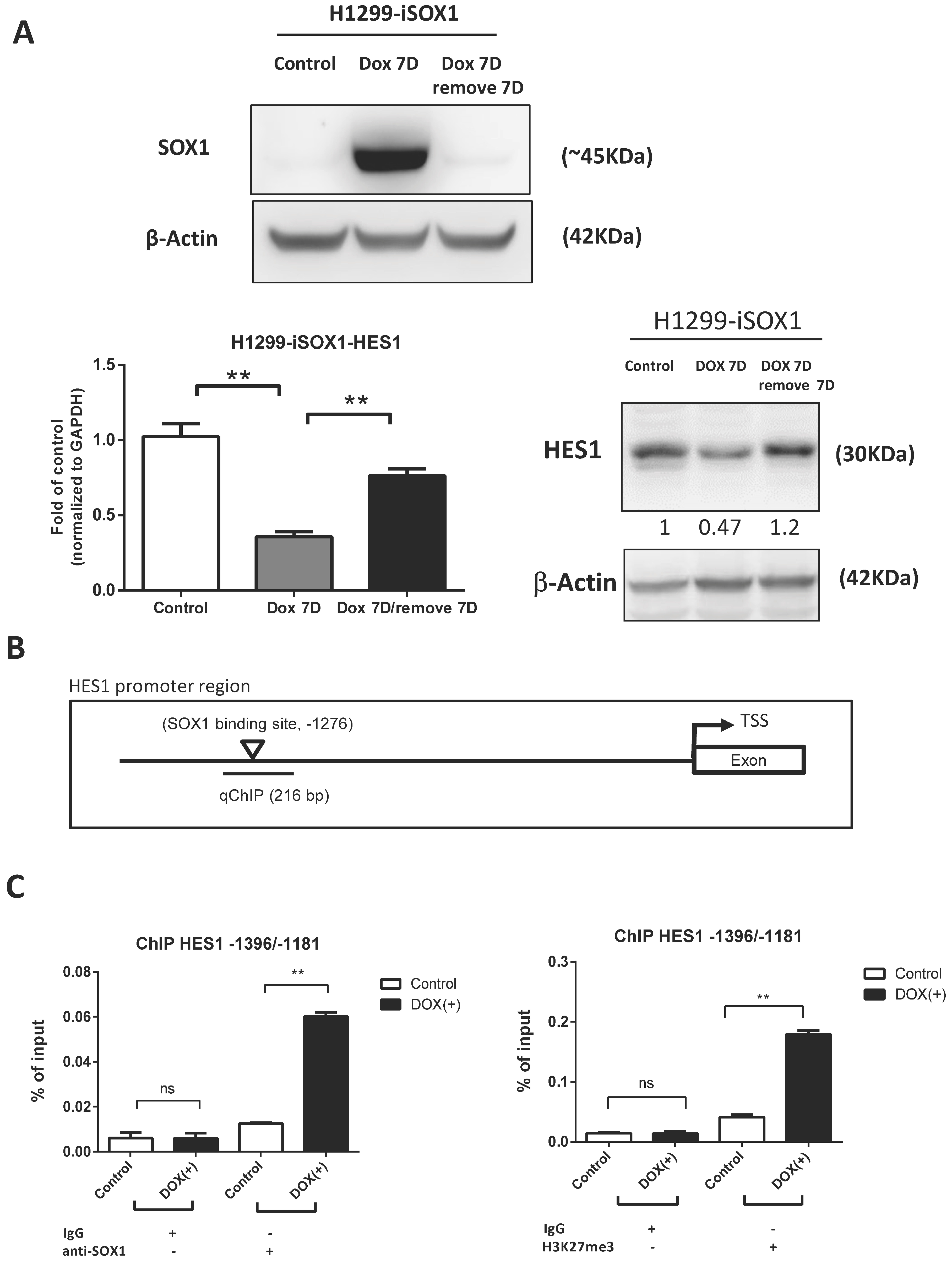 Cancers 15 02207 g006