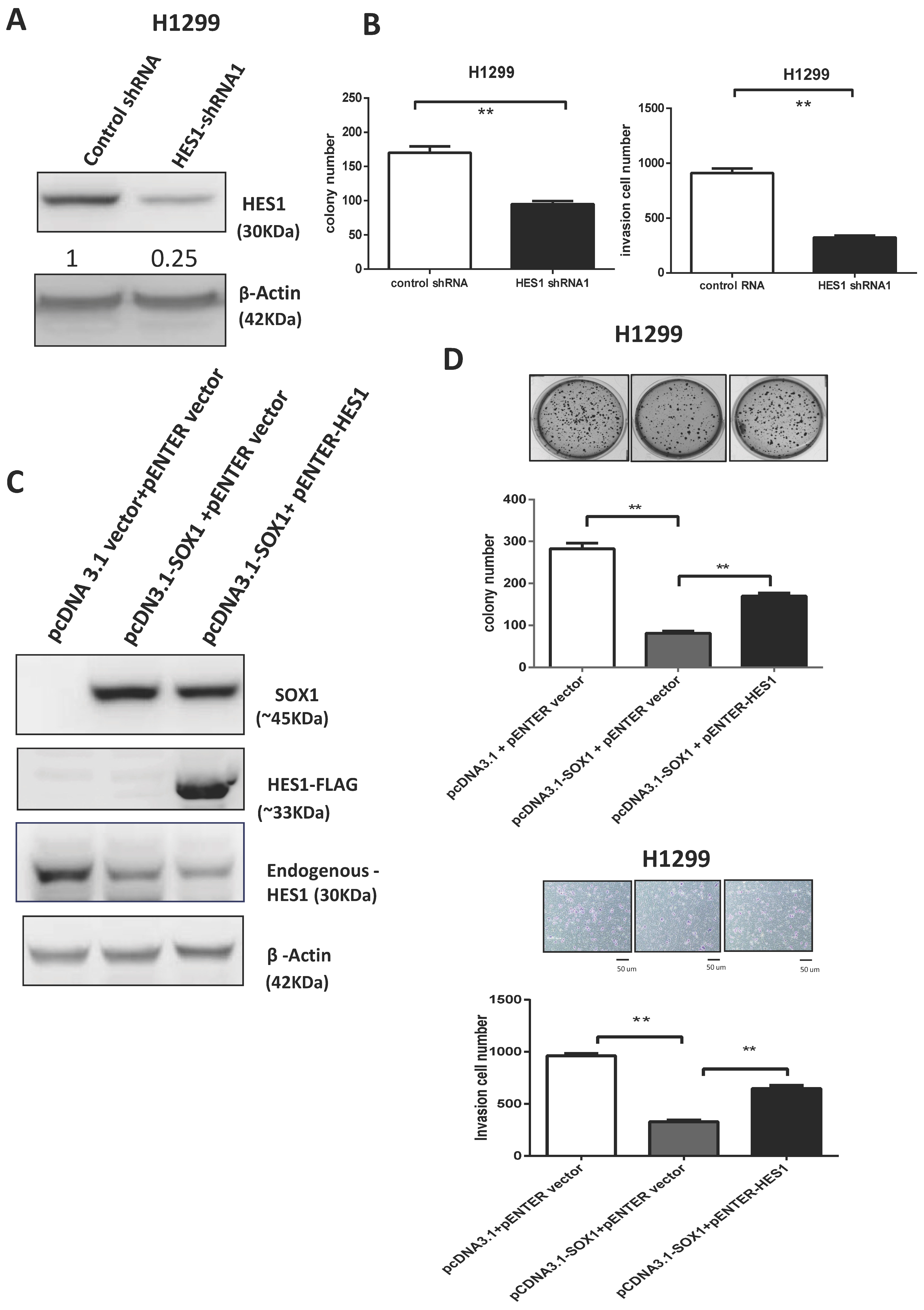 Cancers 15 02207 g007