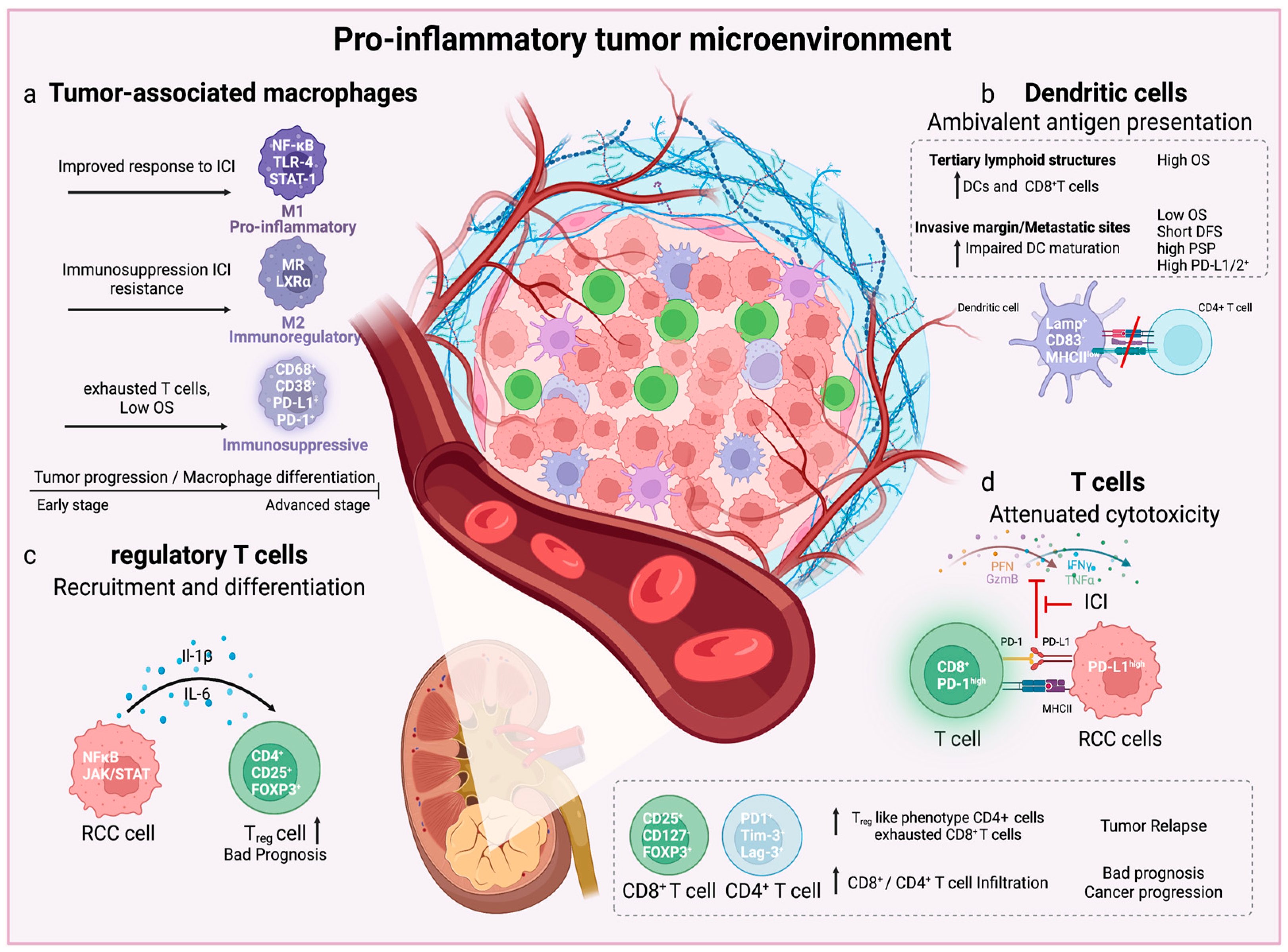 Cancers 15 02212 g002 Cancers 15 02212 g002
