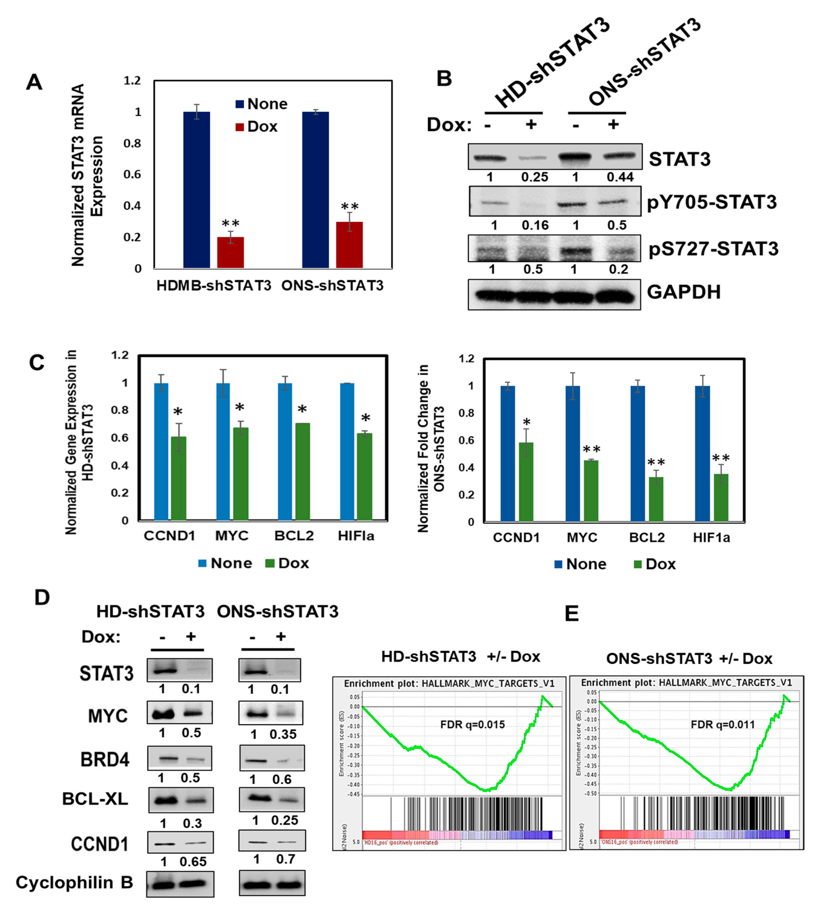 Cancers 15 02239 g001 Cancers 15 02239 g001