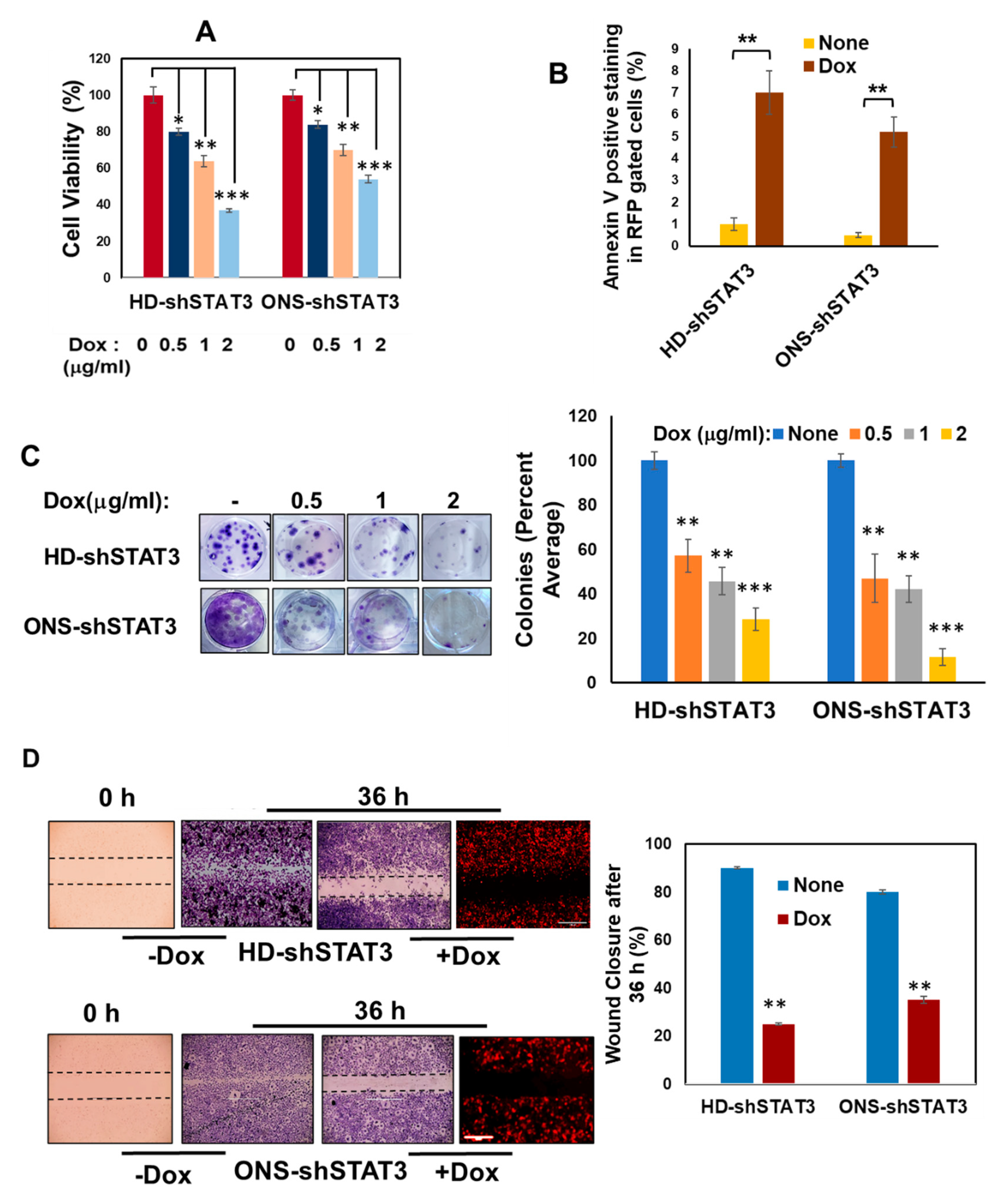 Cancers 15 02239 g002 Cancers 15 02239 g002