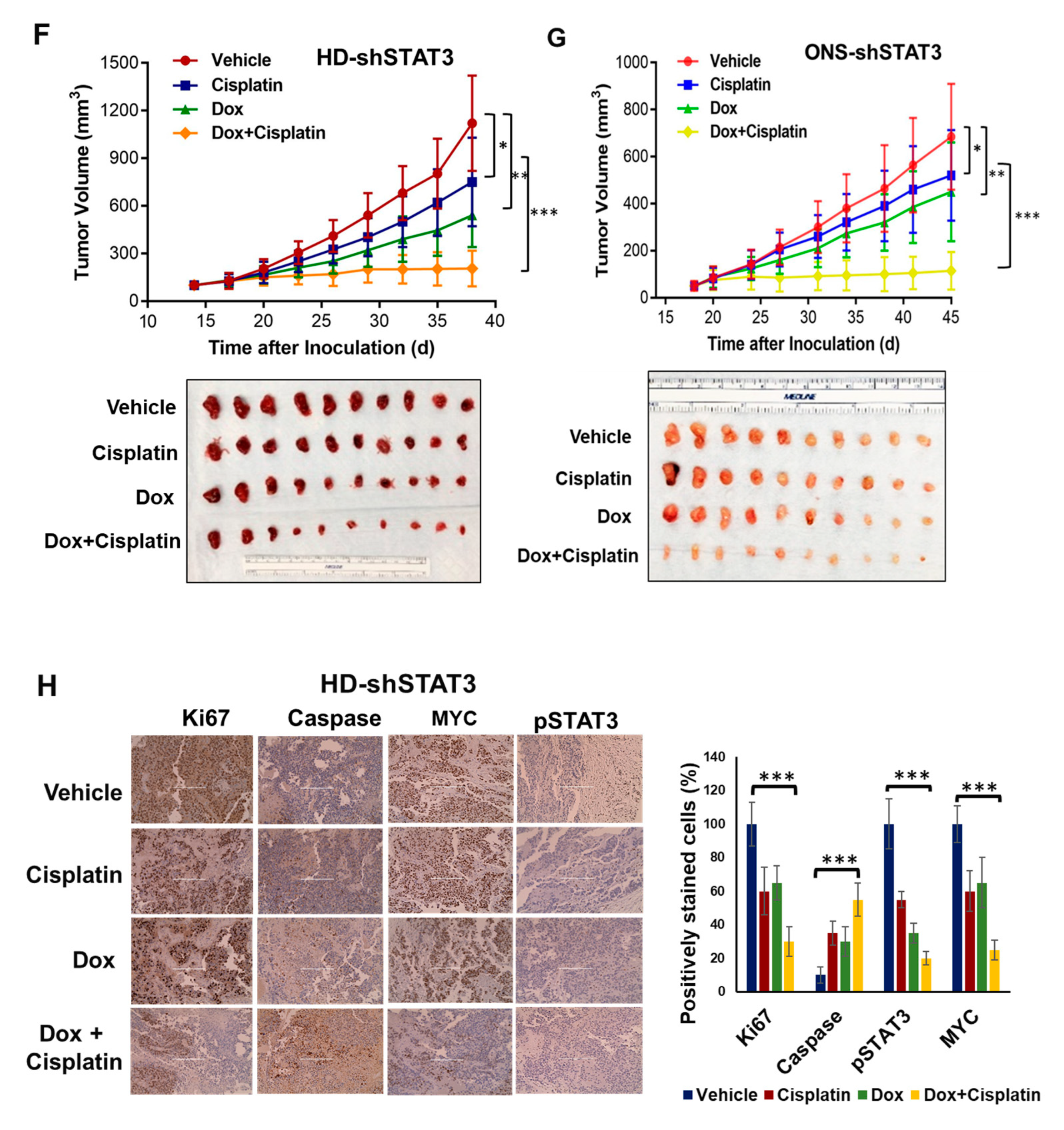 Cancers 15 02239 g005b Cancers 15 02239 g005b
