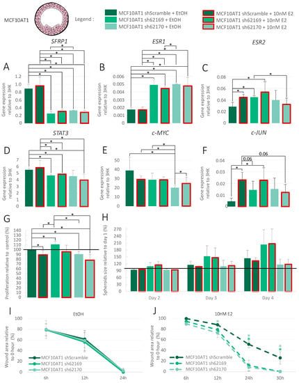 Association of Microcalcification Clusters with Short-term Invasive Breast  Cancer Risk and Breast Cancer Risk Factors