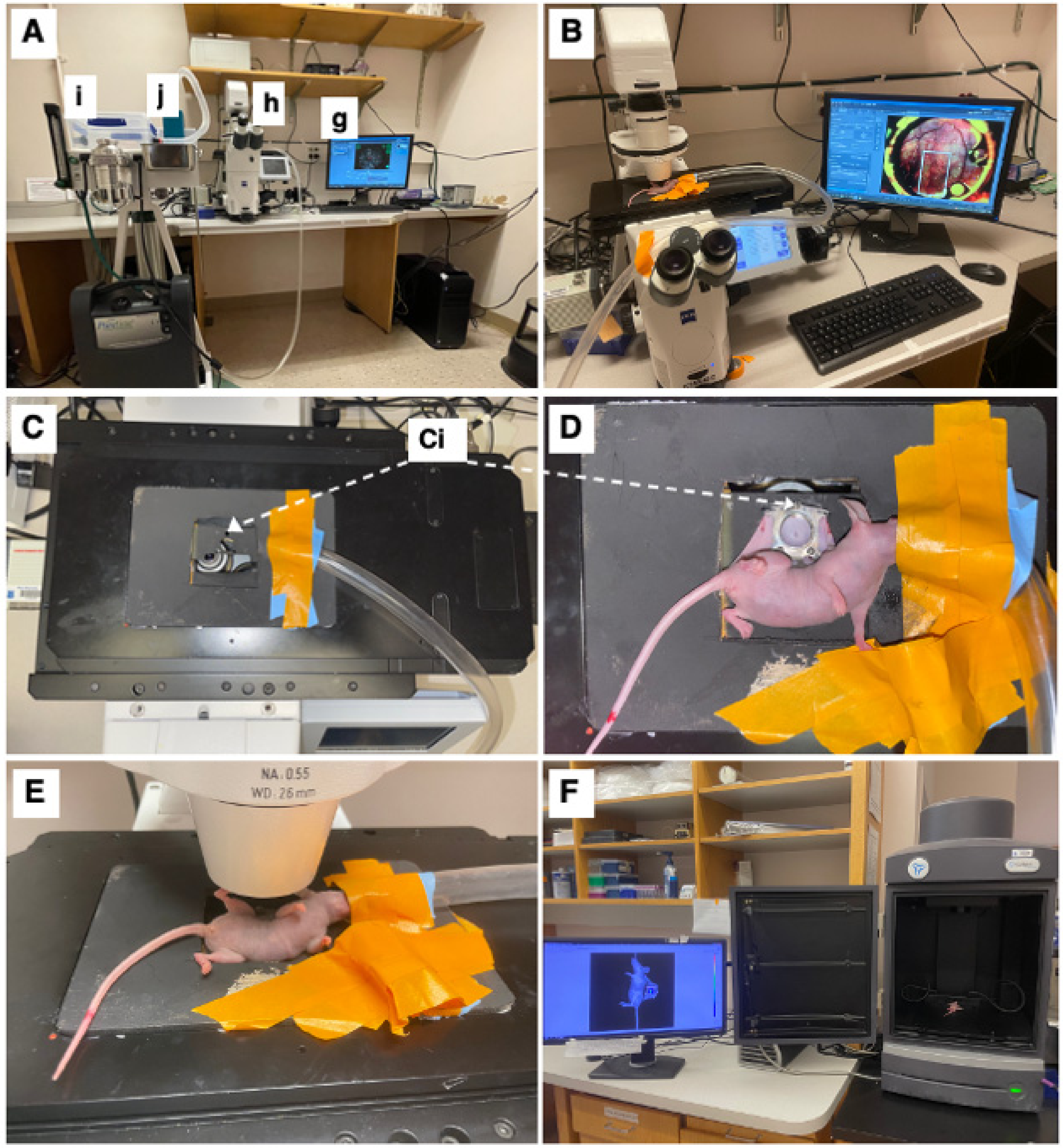 Cancers 15 02261 g002