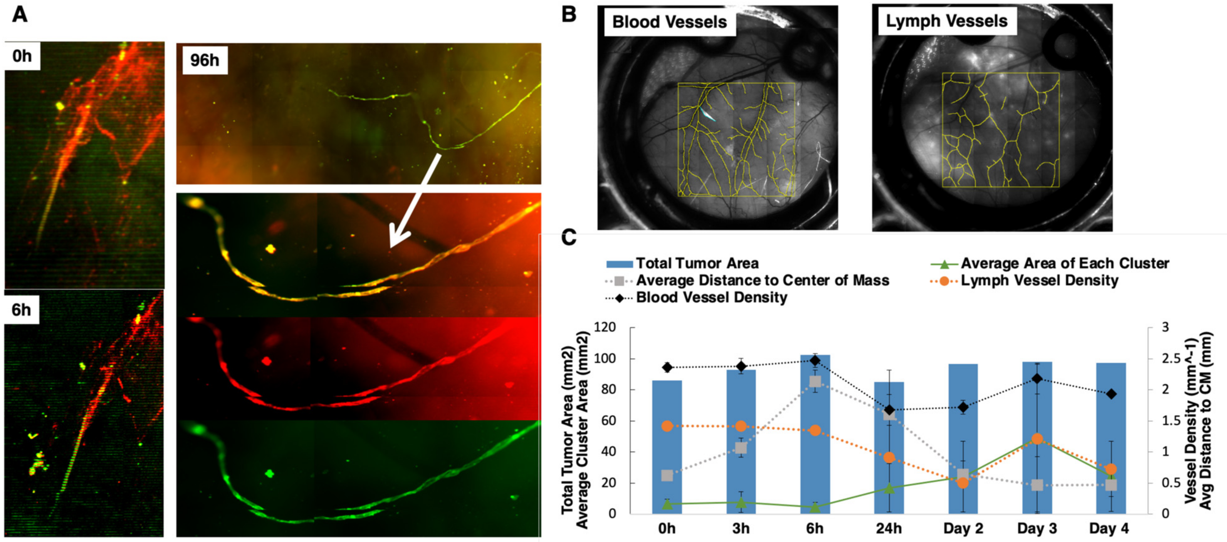Cancers 15 02261 g004