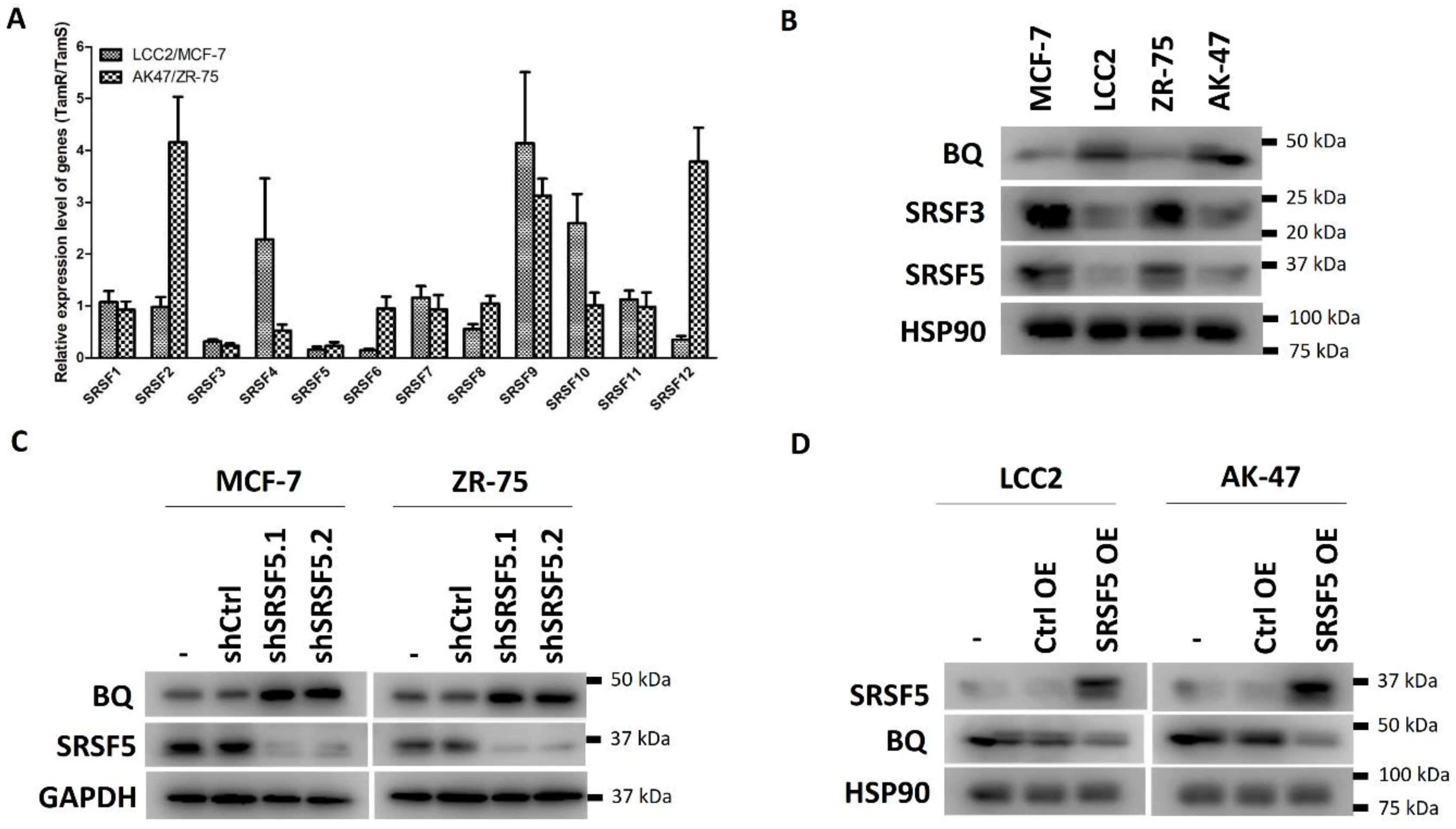 Cancers 15 02271 g001