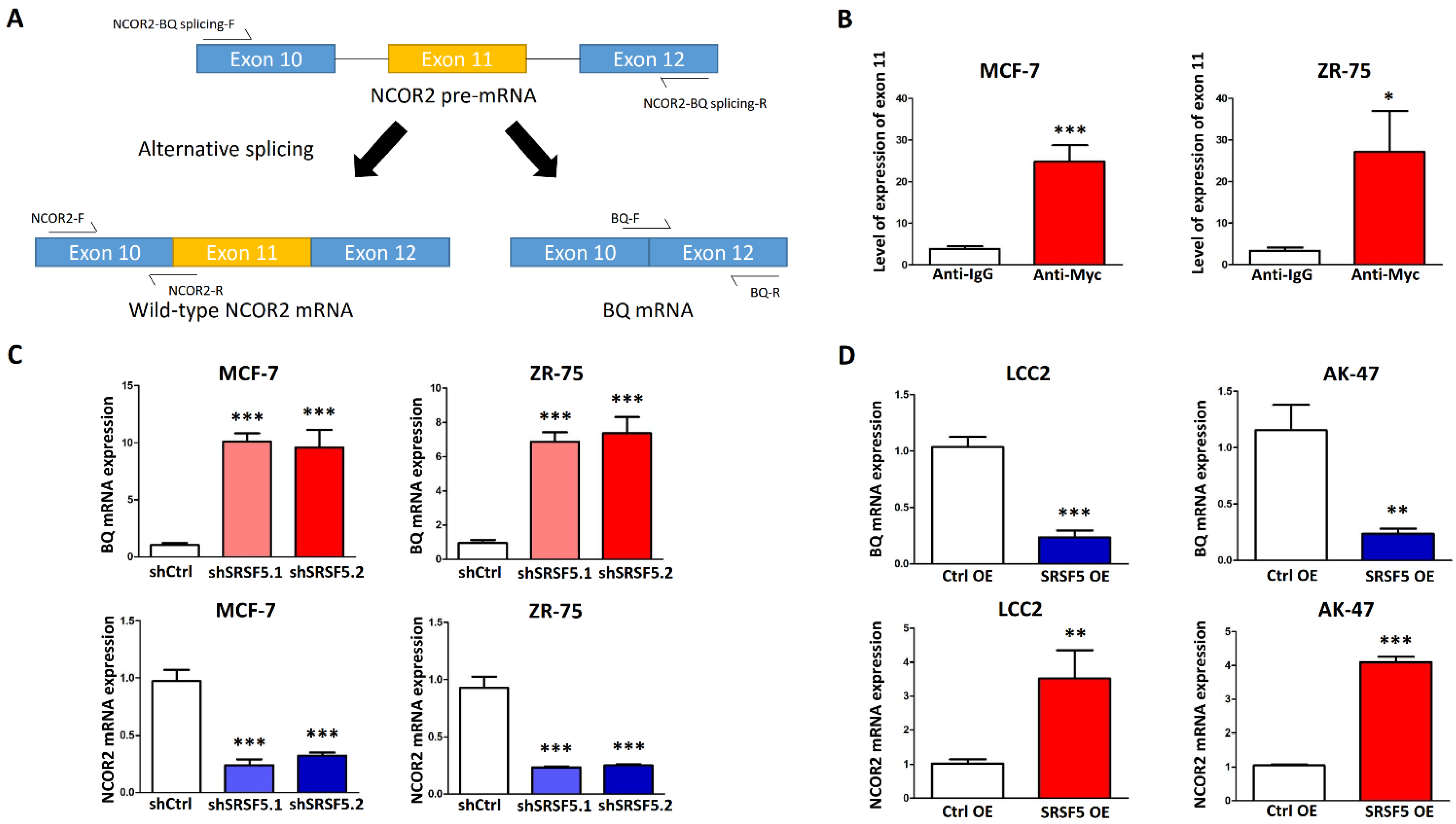 Cancers 15 02271 g002