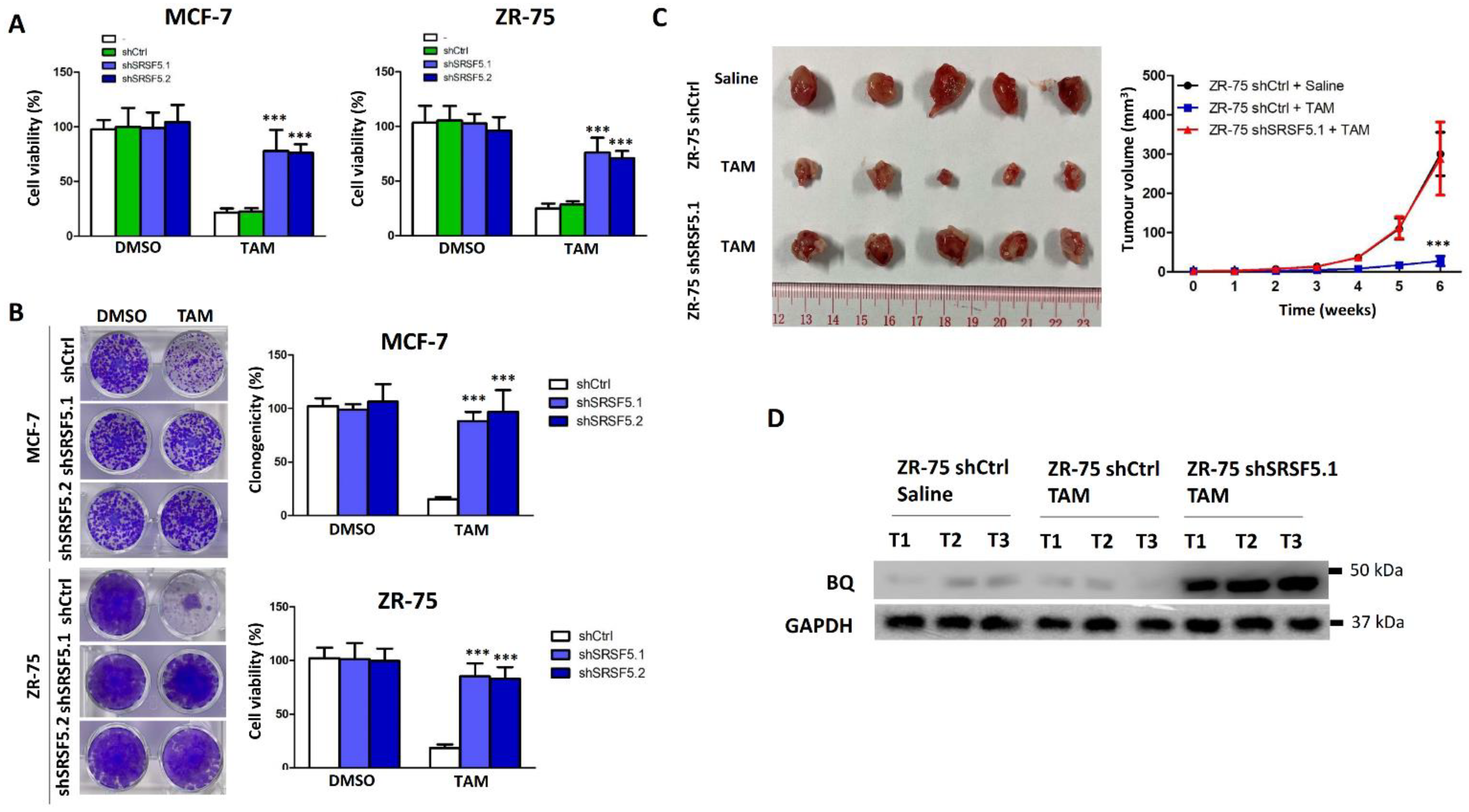 Cancers 15 02271 g003