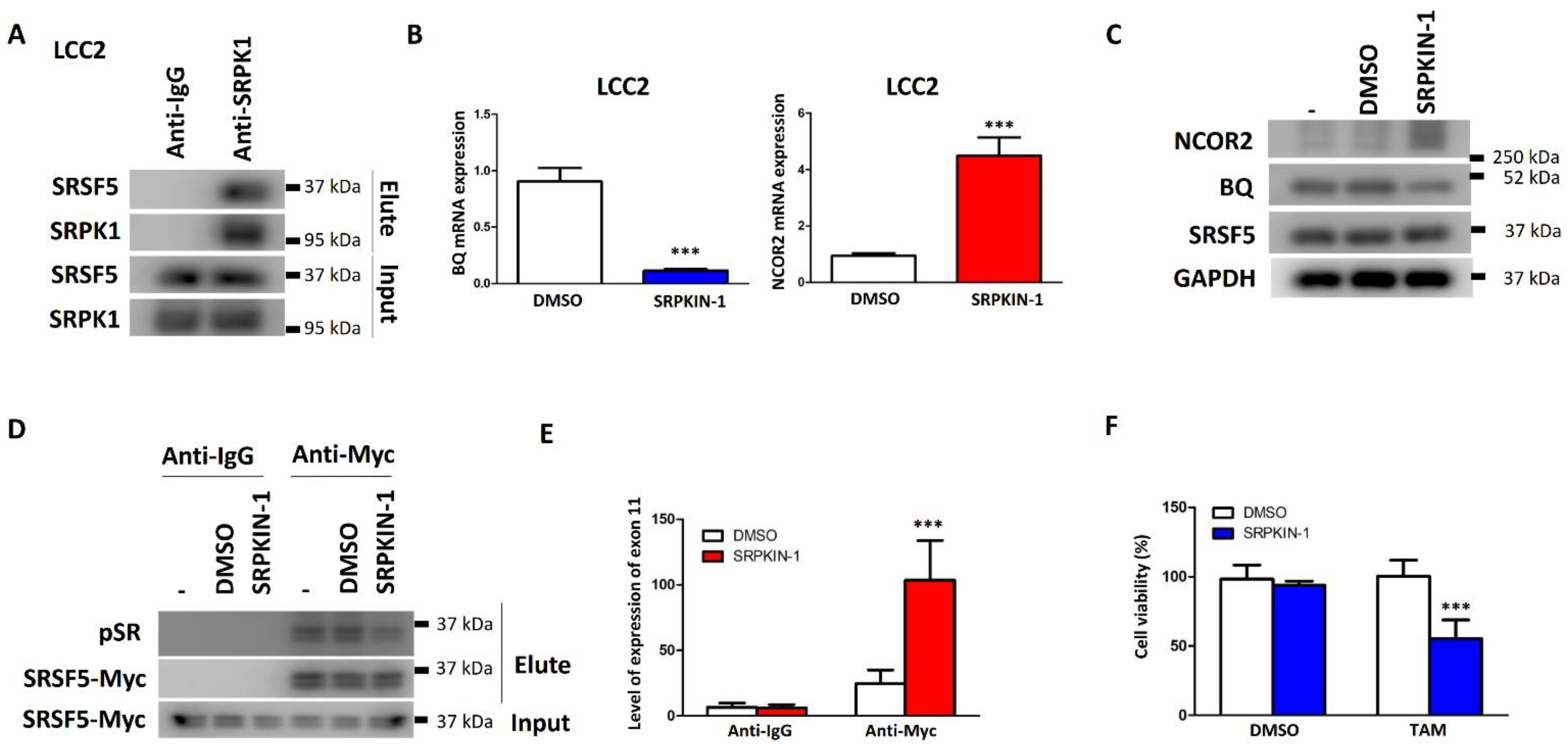 Cancers 15 02271 g006