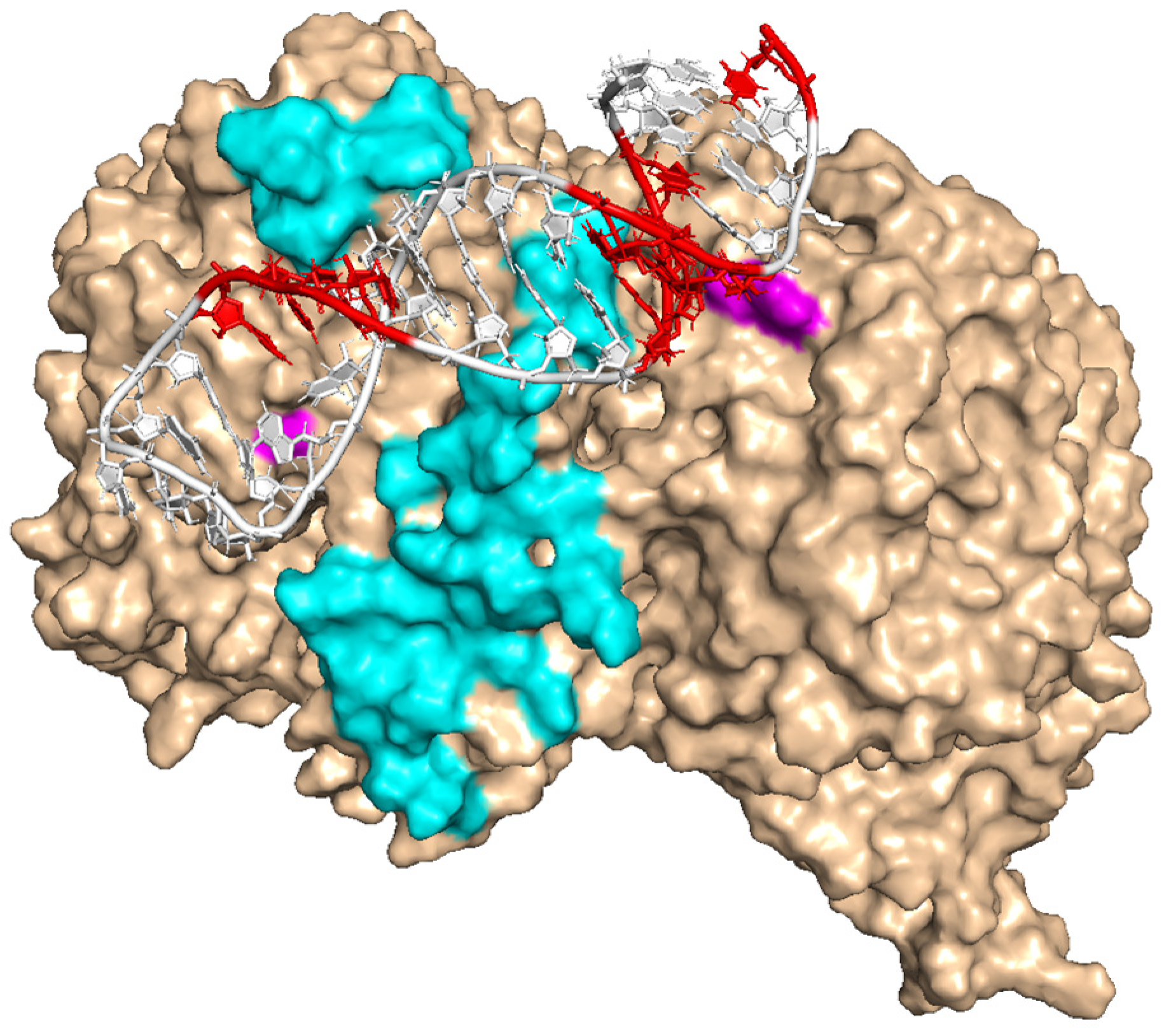 Cancers 15 02301 g005 Cancers 15 02301 g005