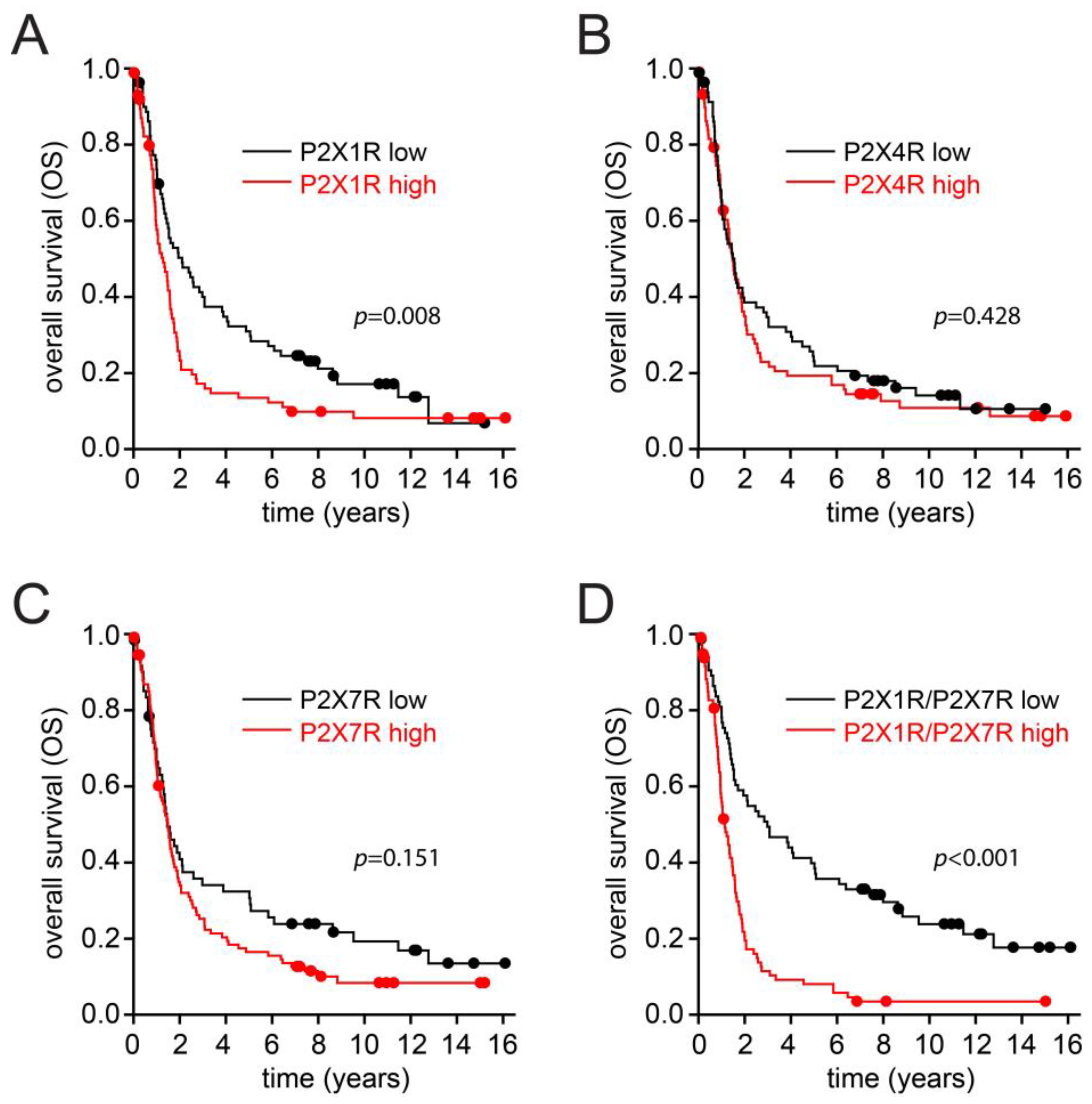 Cancers 15 02321 g003 Cancers 15 02321 g003