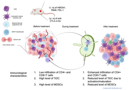 Cancers | Free Full-Text | Regression and Eradication of Triple