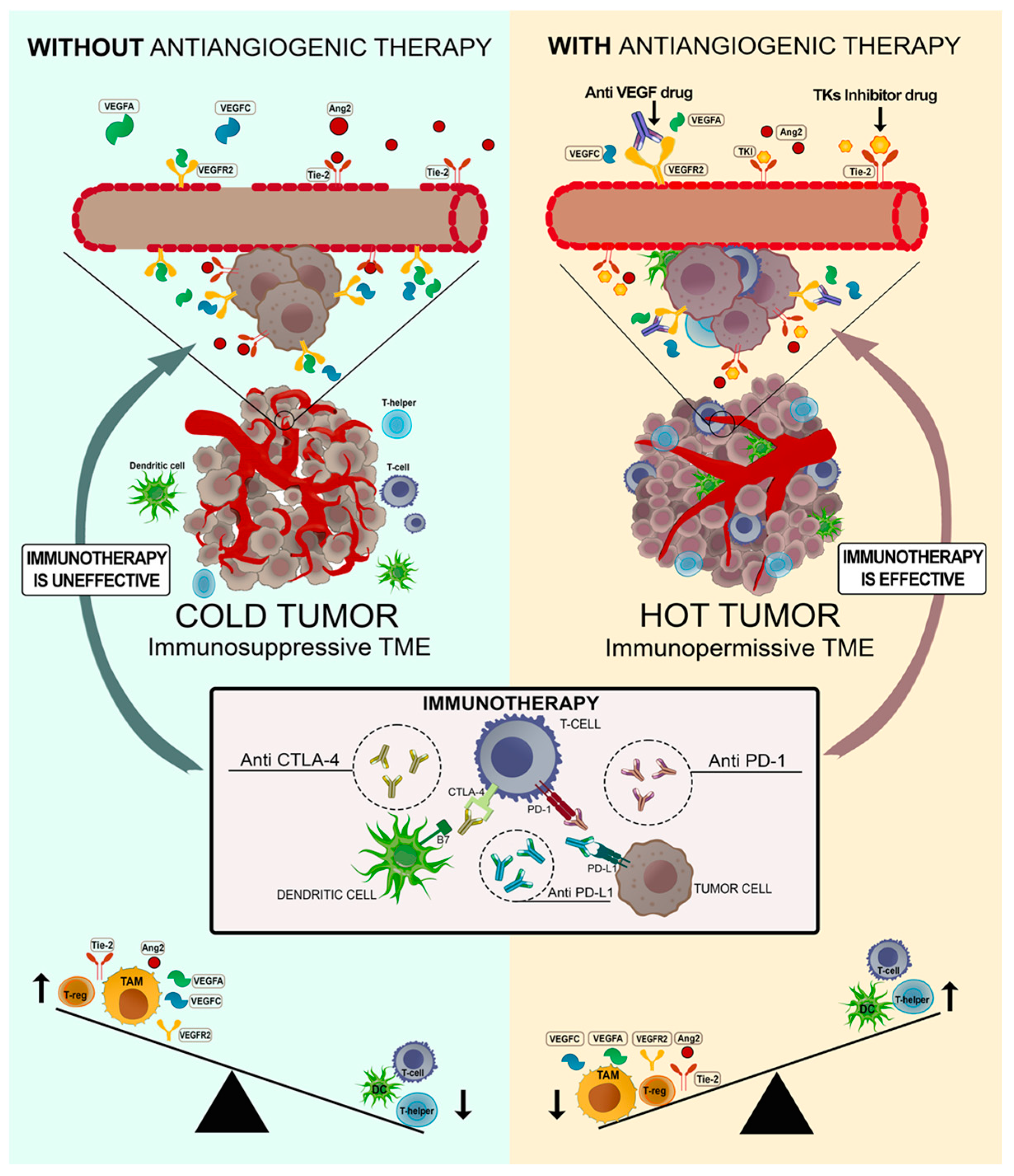 Cancers 15 02376 g002 Cancers 15 02376 g002