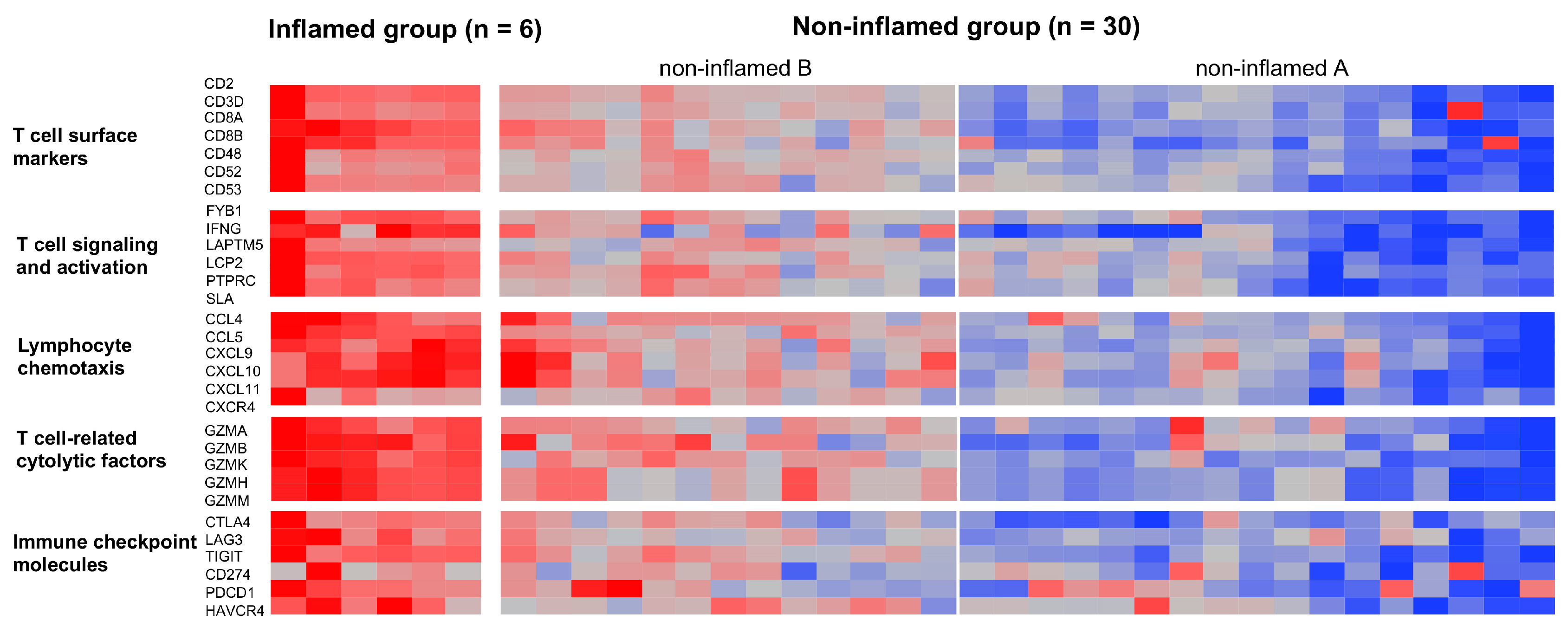 Cancers 15 02379 g001 Cancers 15 02379 g001