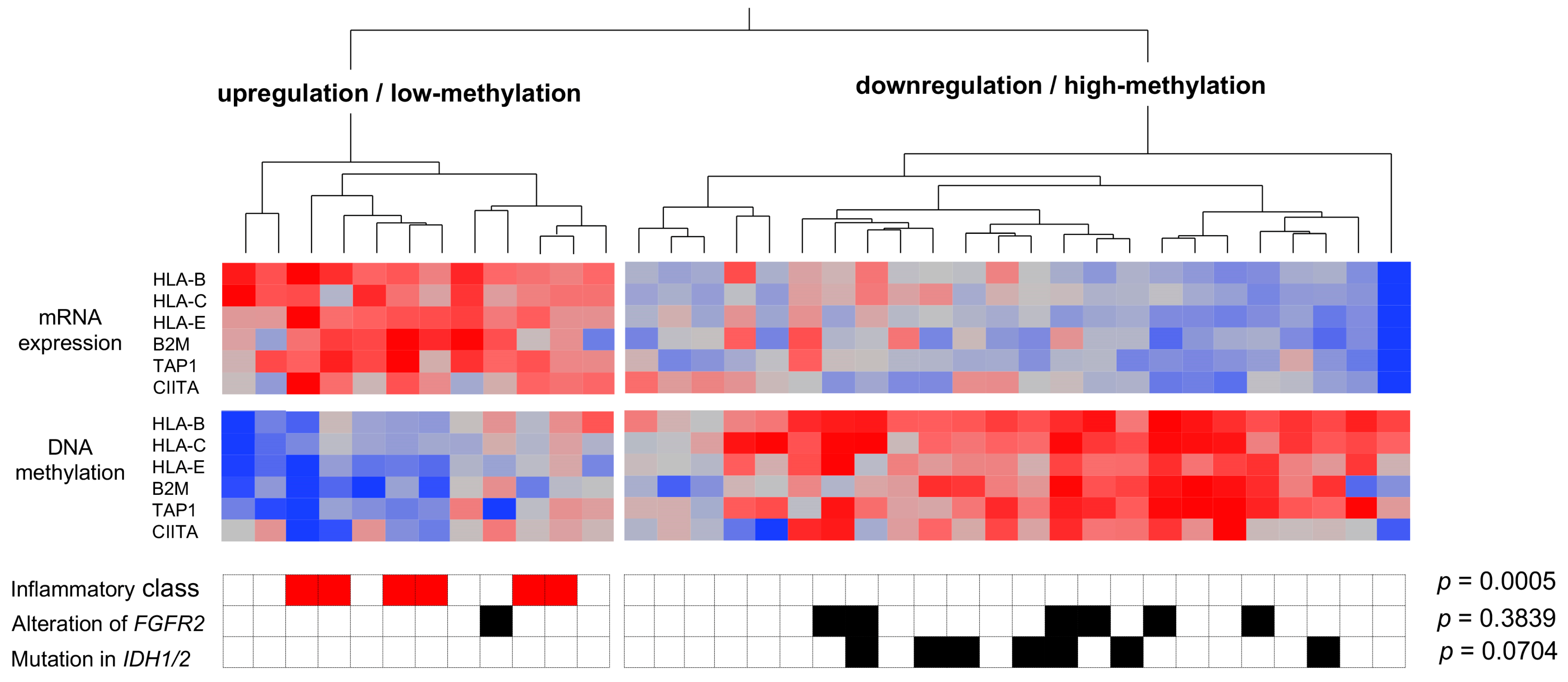 Cancers 15 02379 g003 Cancers 15 02379 g003