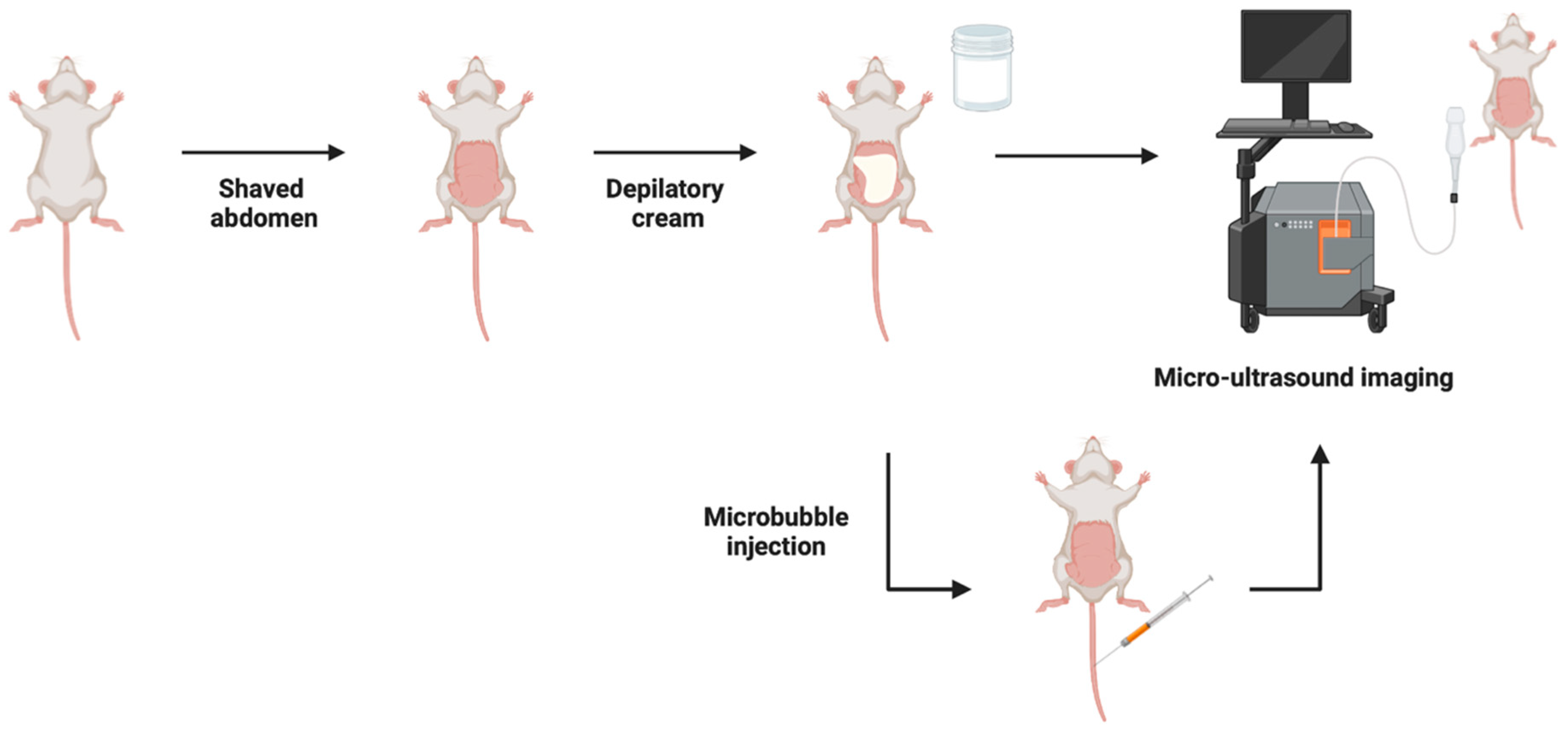 Cancers 15 02381 g002 Cancers 15 02381 g002