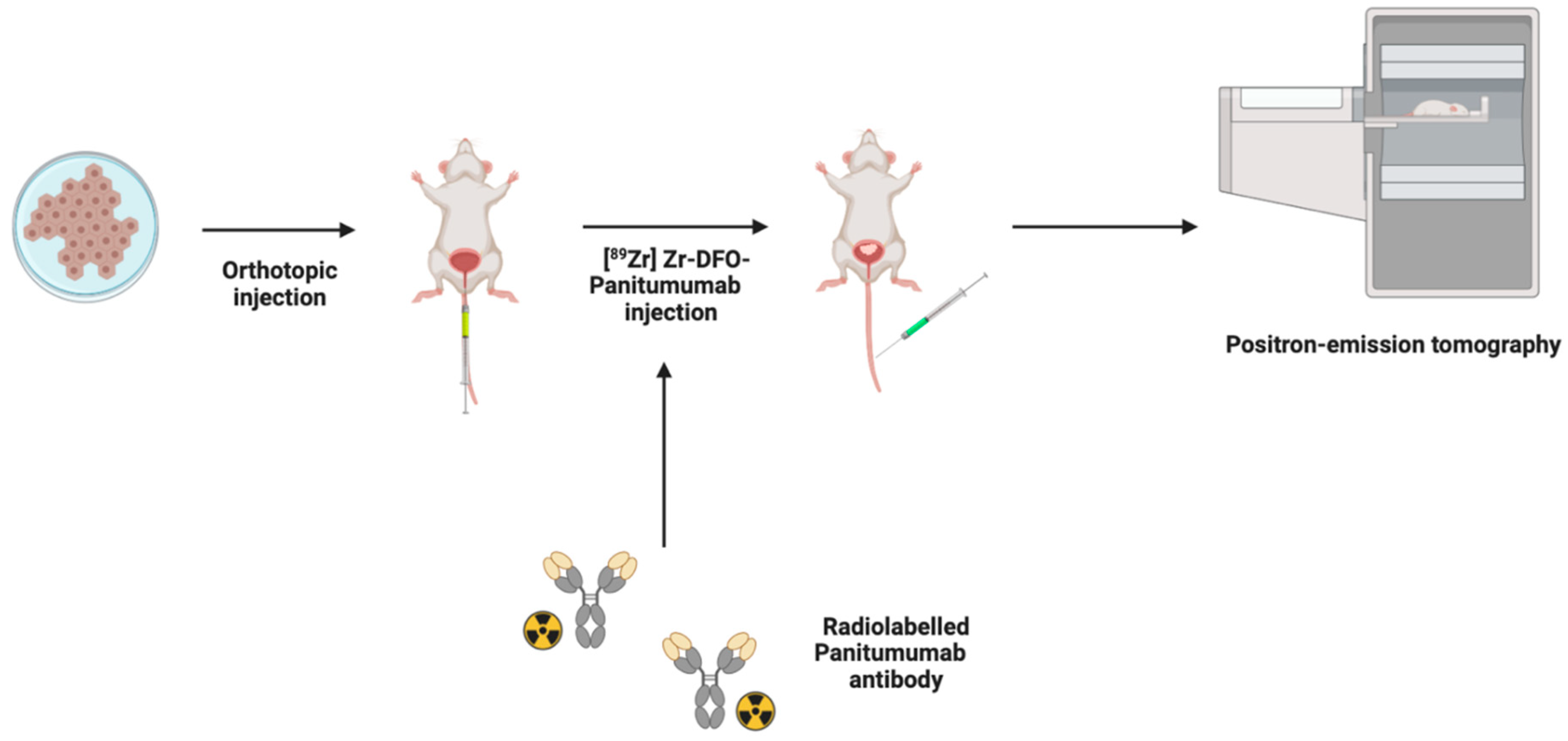 Cancers 15 02381 g003 Cancers 15 02381 g003