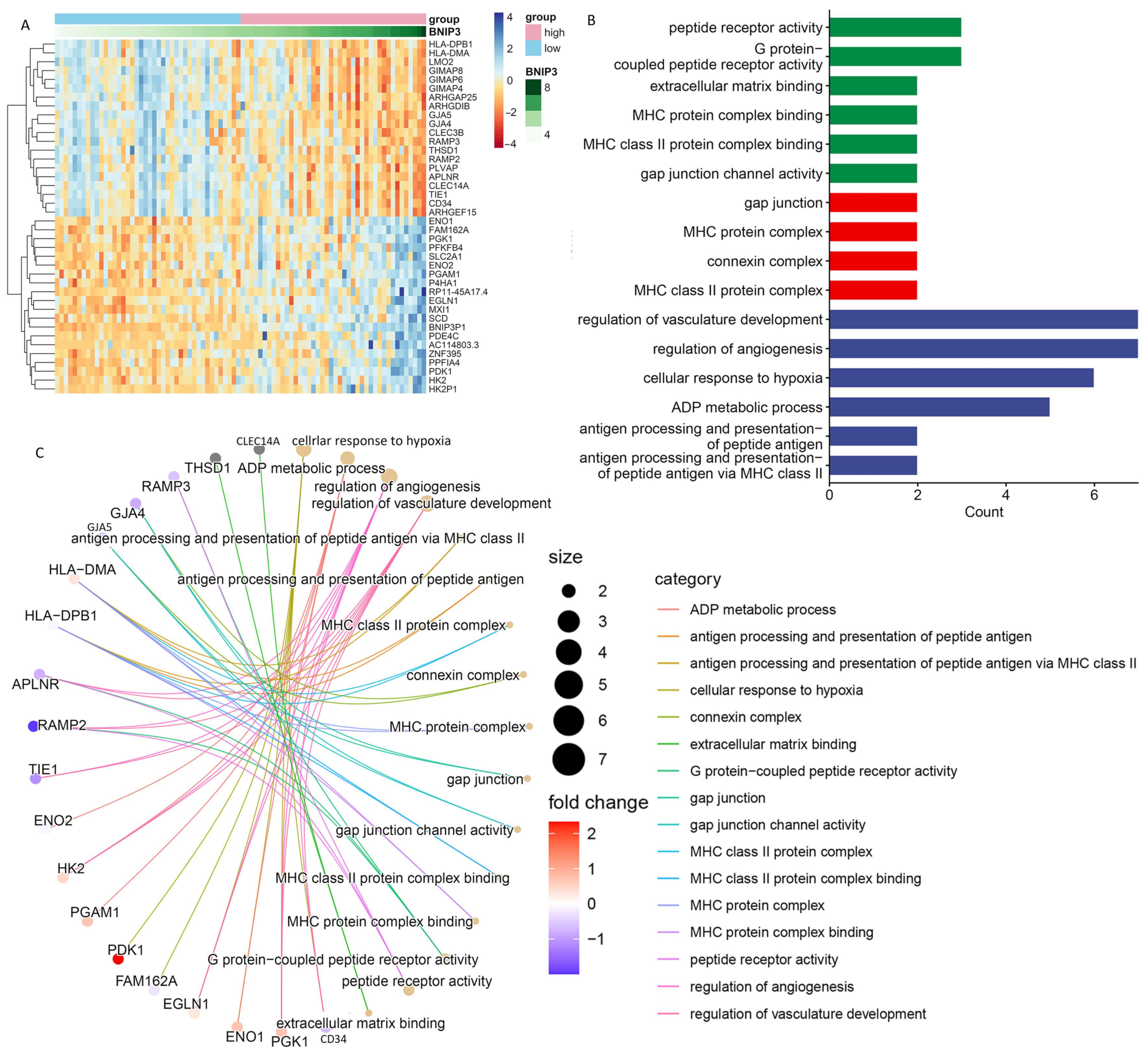 Cancers 15 02405 g009 Cancers 15 02405 g009